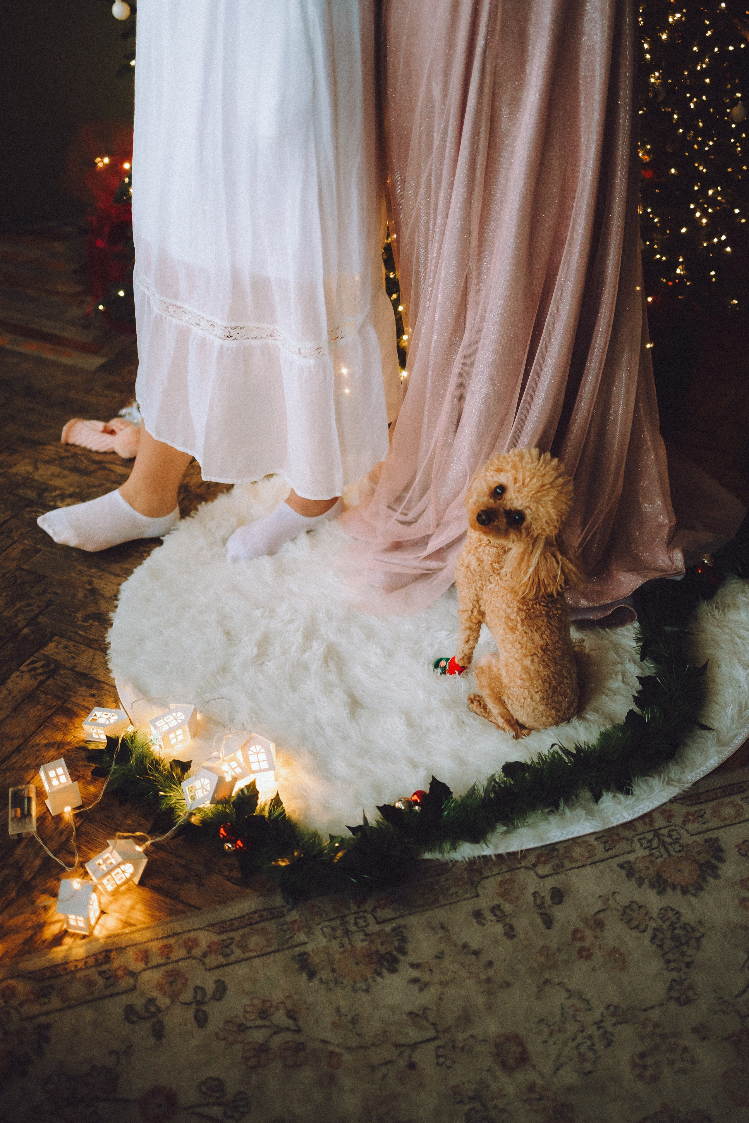 Джули, Шелли и их семья