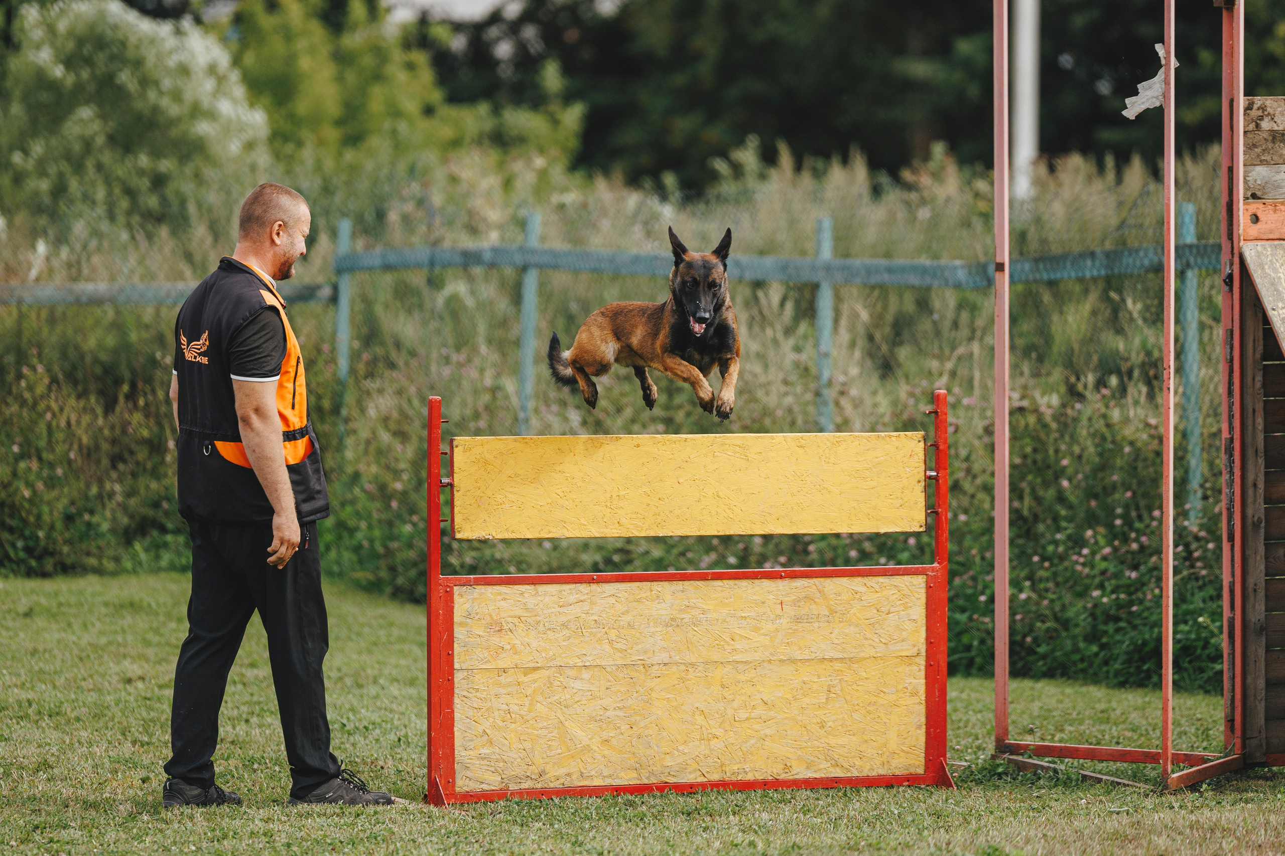 08.08.25-10.08.25 ЧР по мондьорингу г. Вологда. Фотограф-анималист Анна Маринич