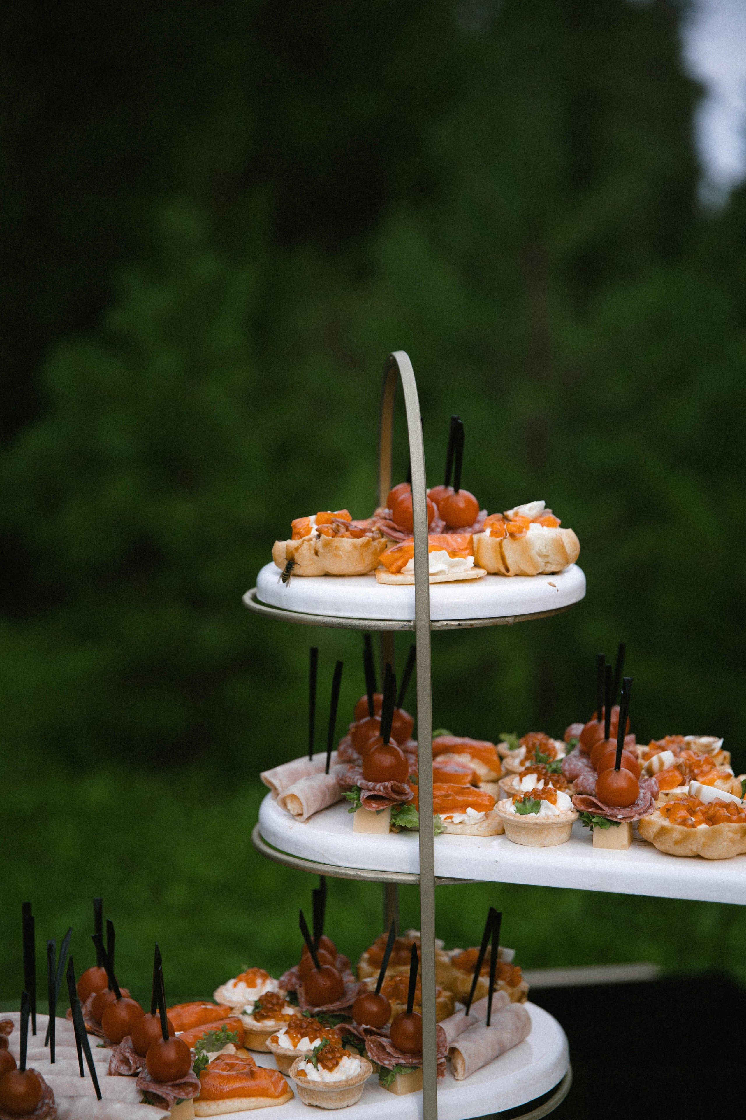 Паша & Даша. VOLOCHKOVA