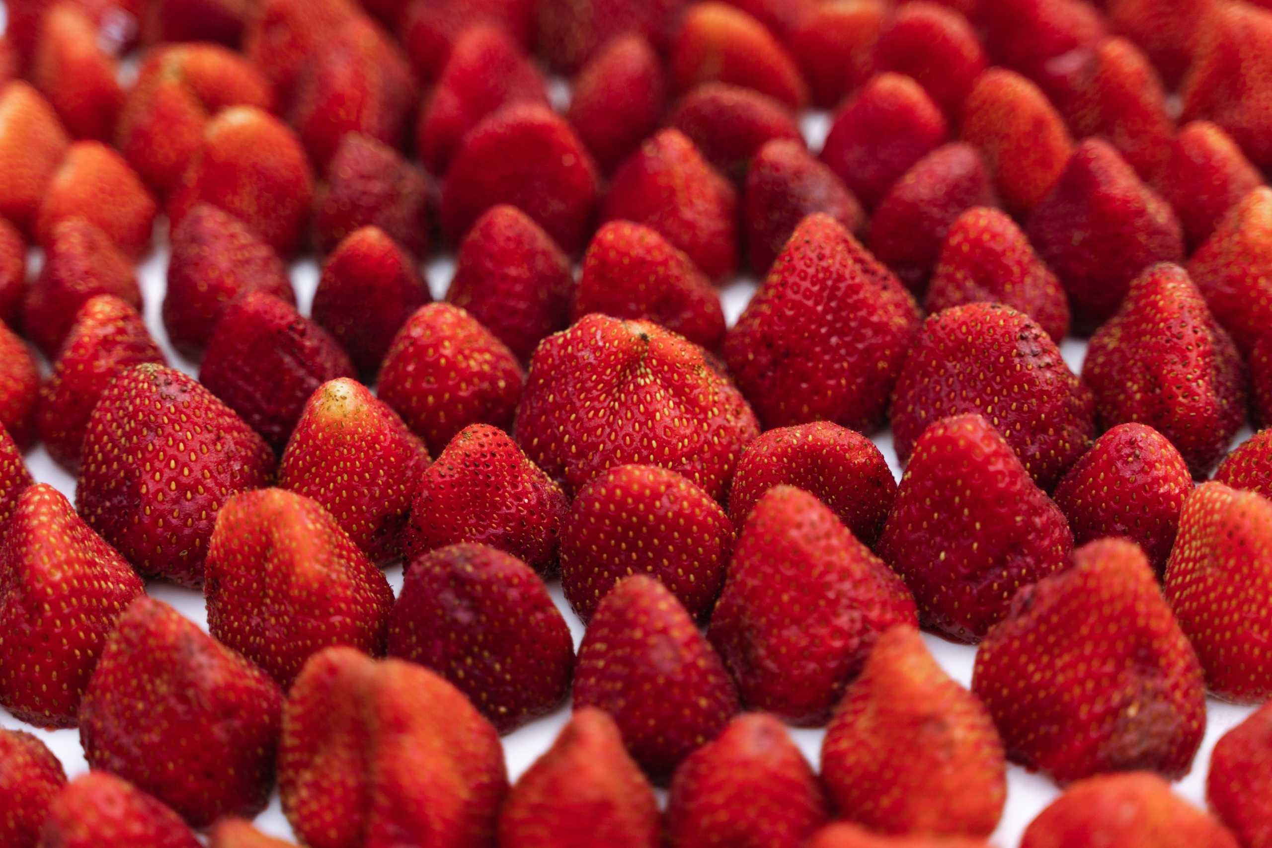 Игорь и Катя. Фотограф Алматы