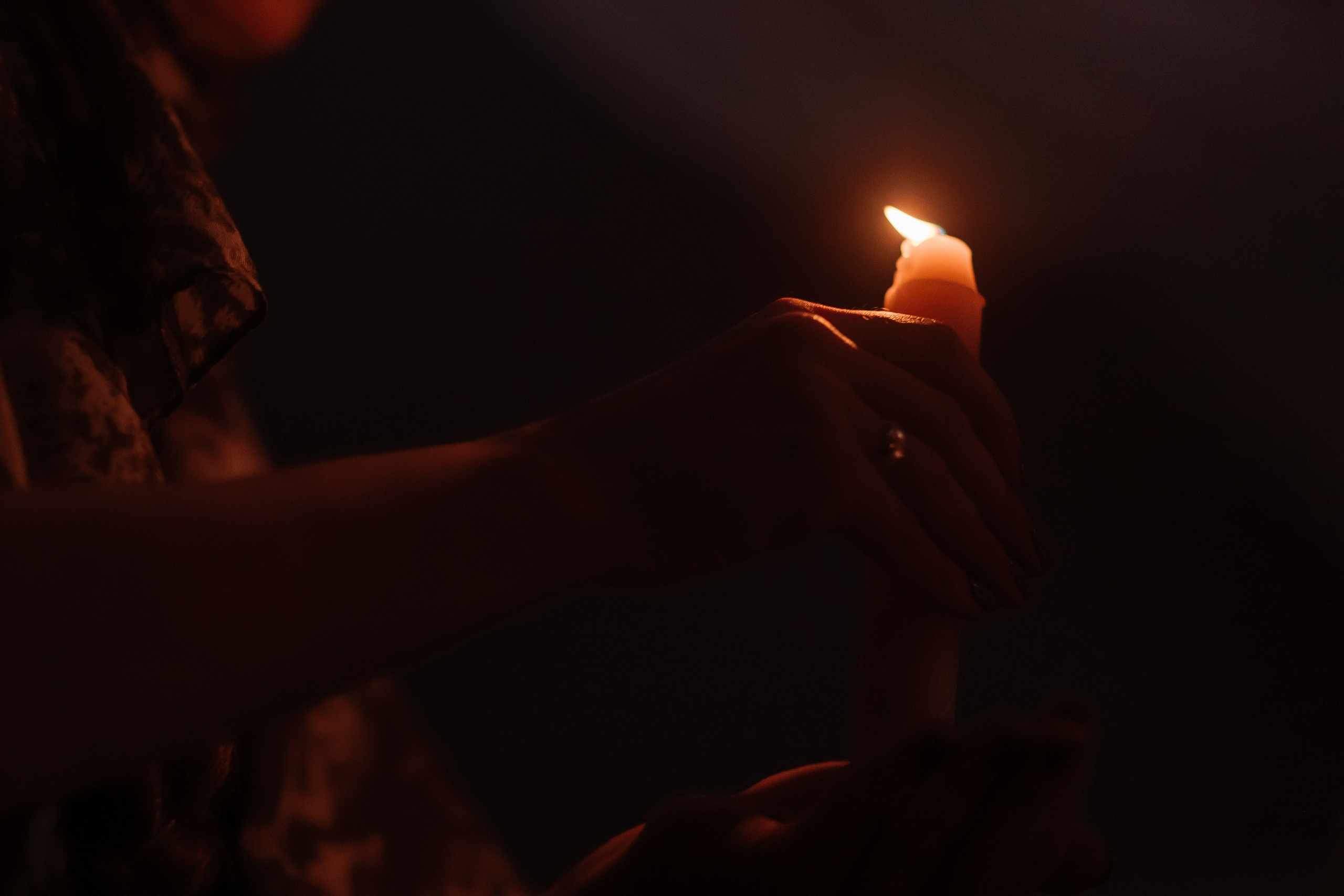 Шоу тортов 2. Свадебный фотограф