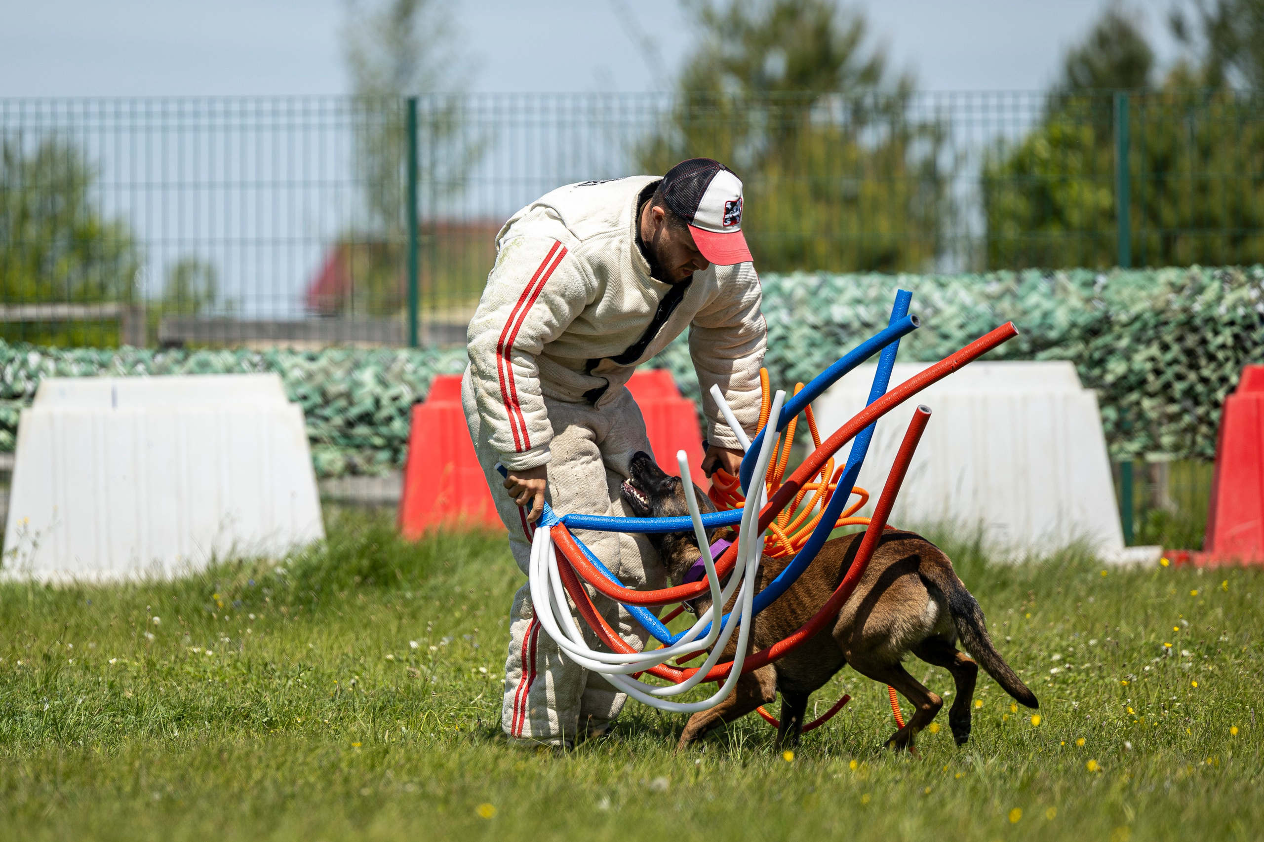 Испытания по мондьорингу в Нижнем Новгороде. Фотограф-анималист Анна Маринич