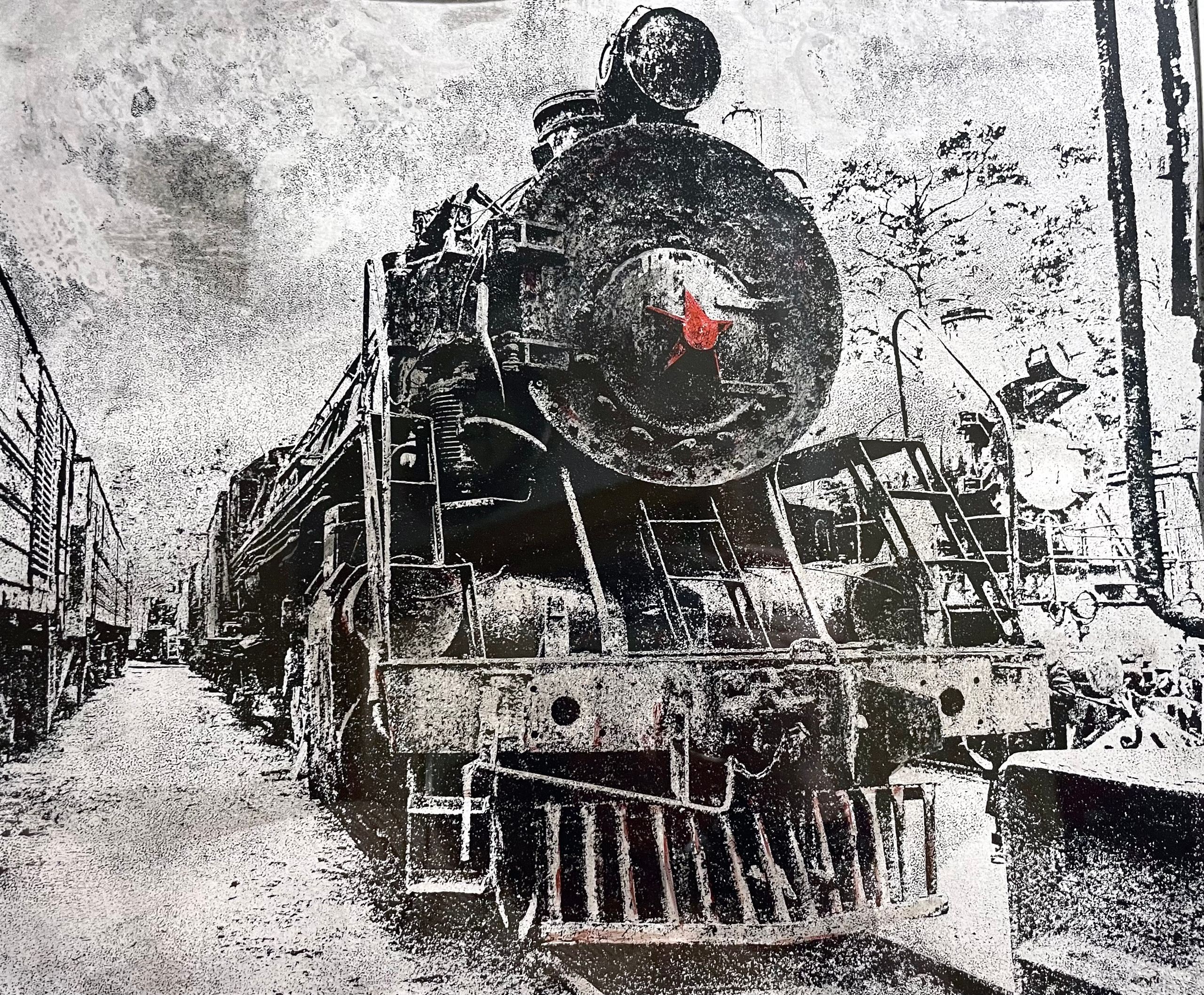 Монотипии. Photographer Natalia Baranova