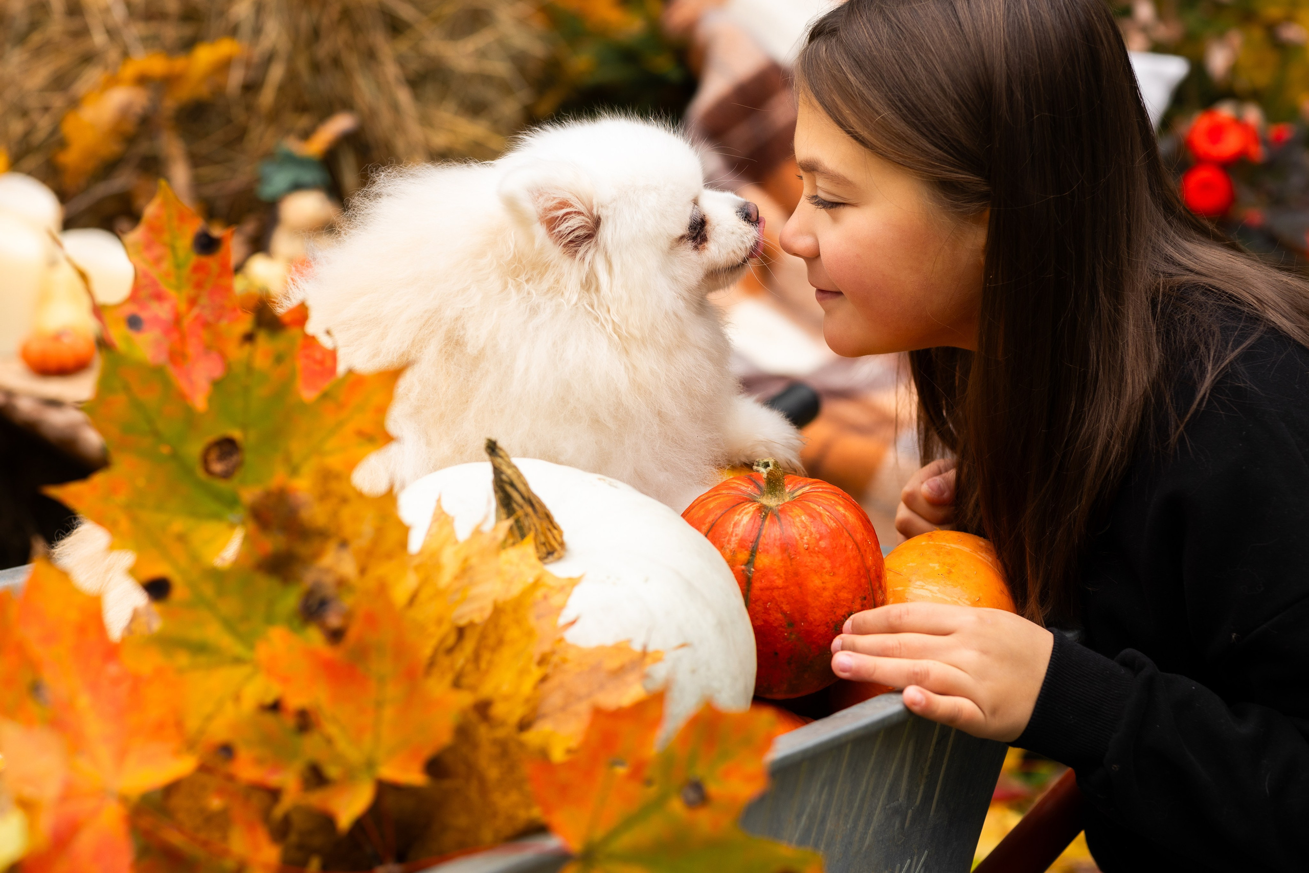 Осень. Профессиональный ретушер Москва и весь мир — Елена Тимченко