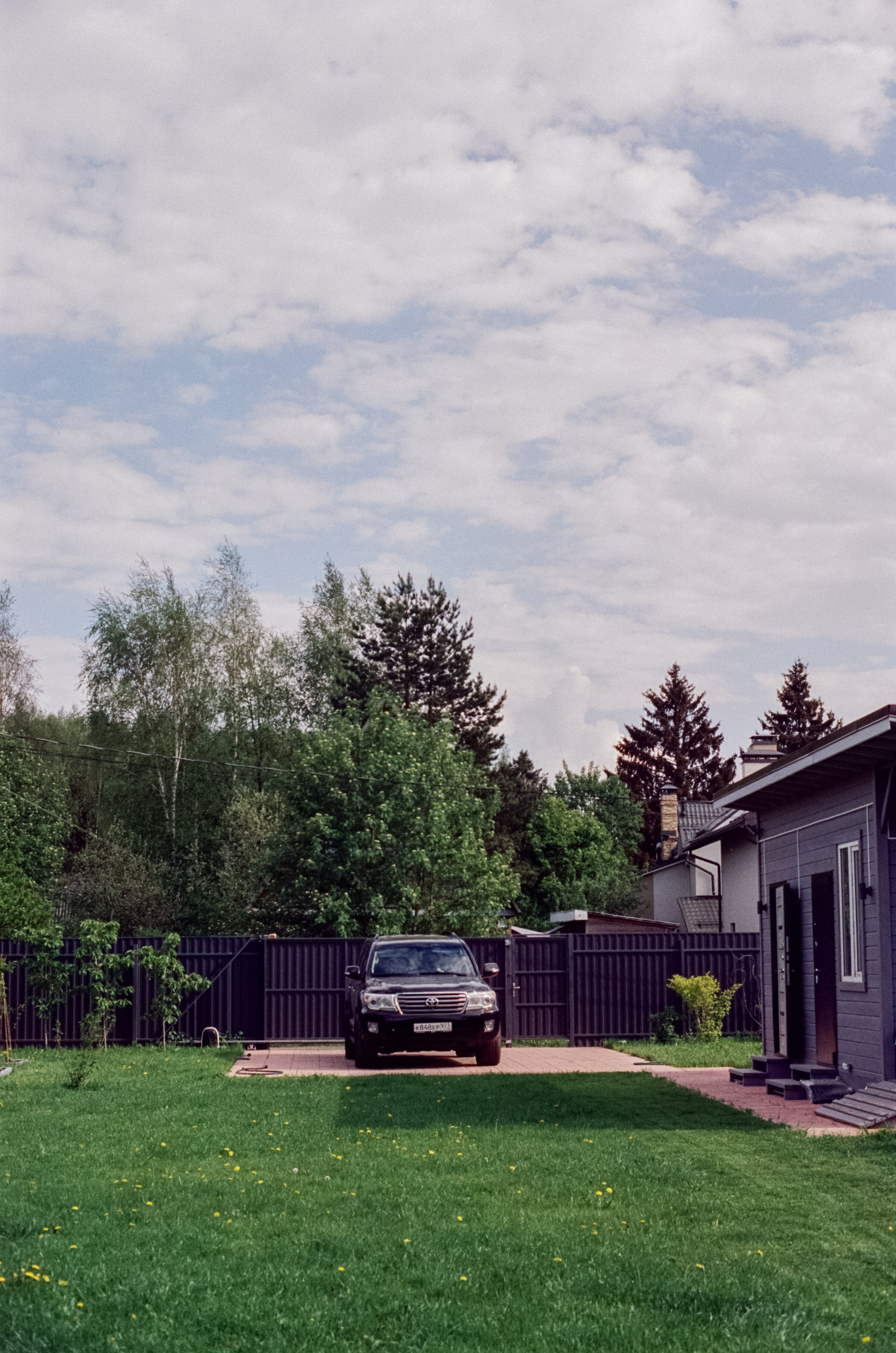 Nikon F100 — Micro-Nikkor-P.C Auto 55 mm f3.5 | май 2025 года | Давыдовское