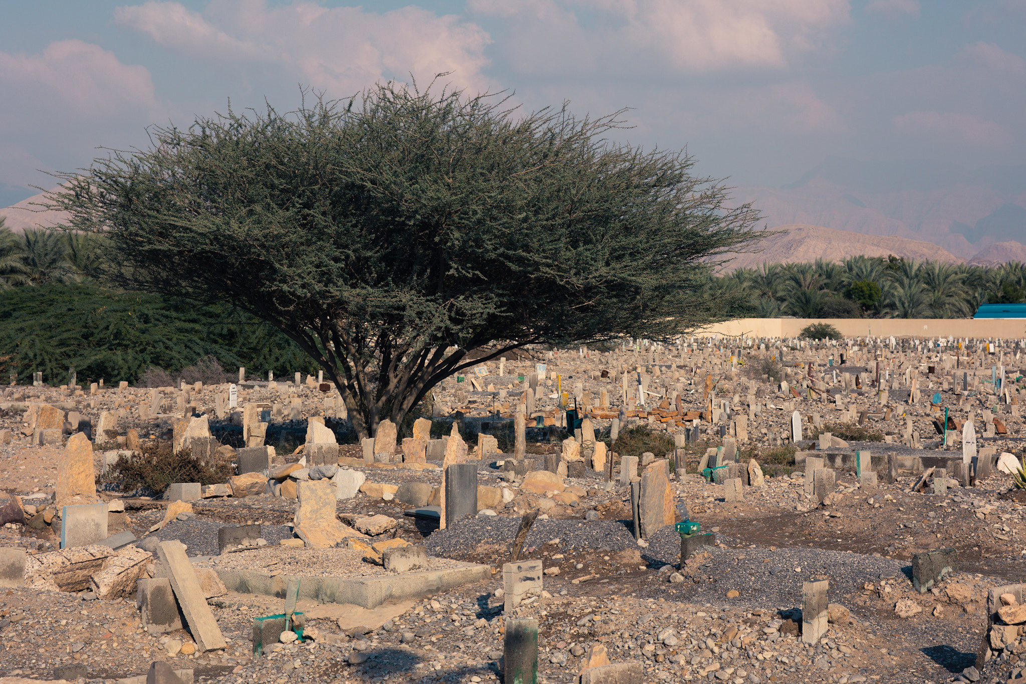 Рас-эль-Хайма. Photographer Sonkina Tatiana (Tanya Ash)