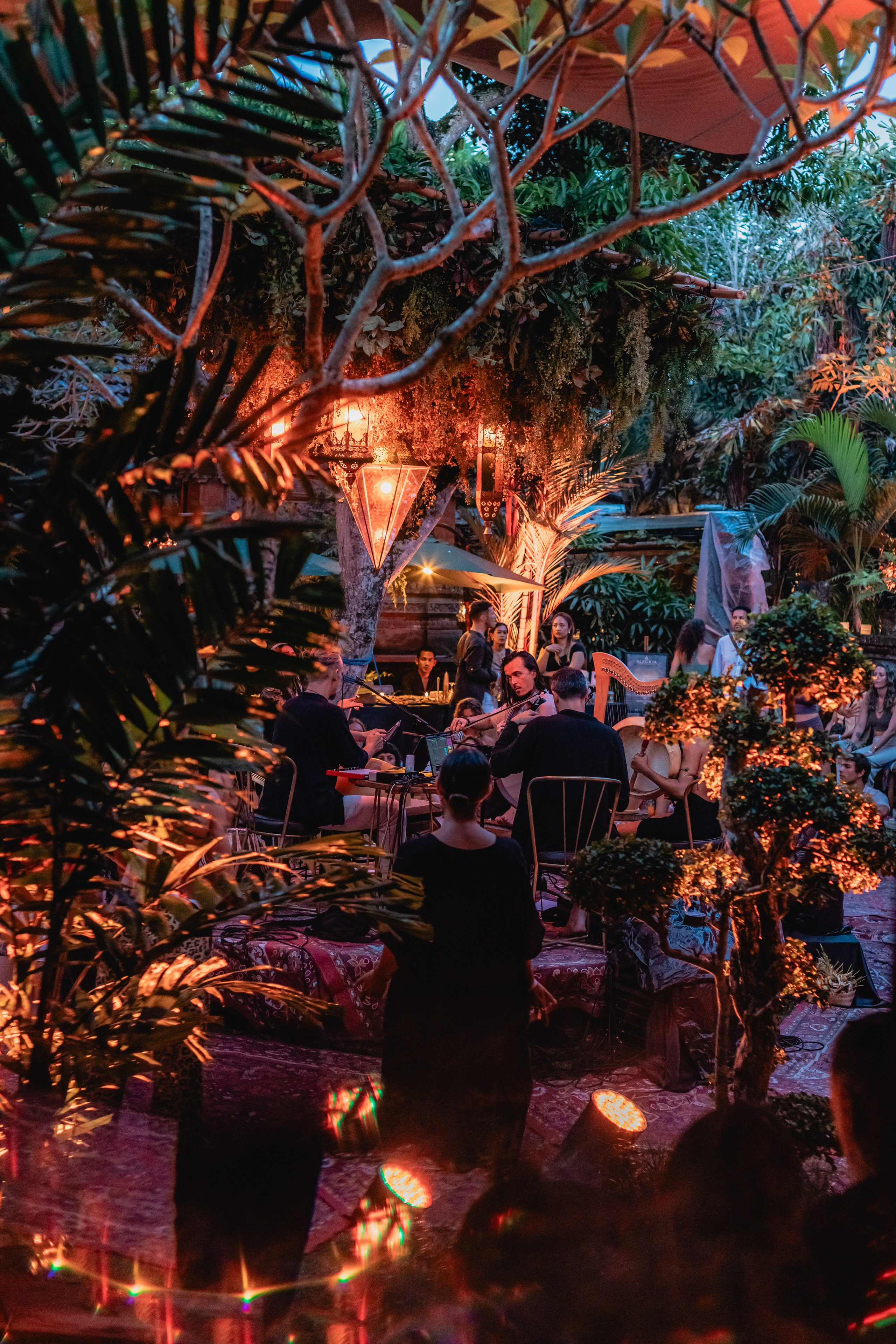 Alegria festival at Zest. Мариам Багдасарян