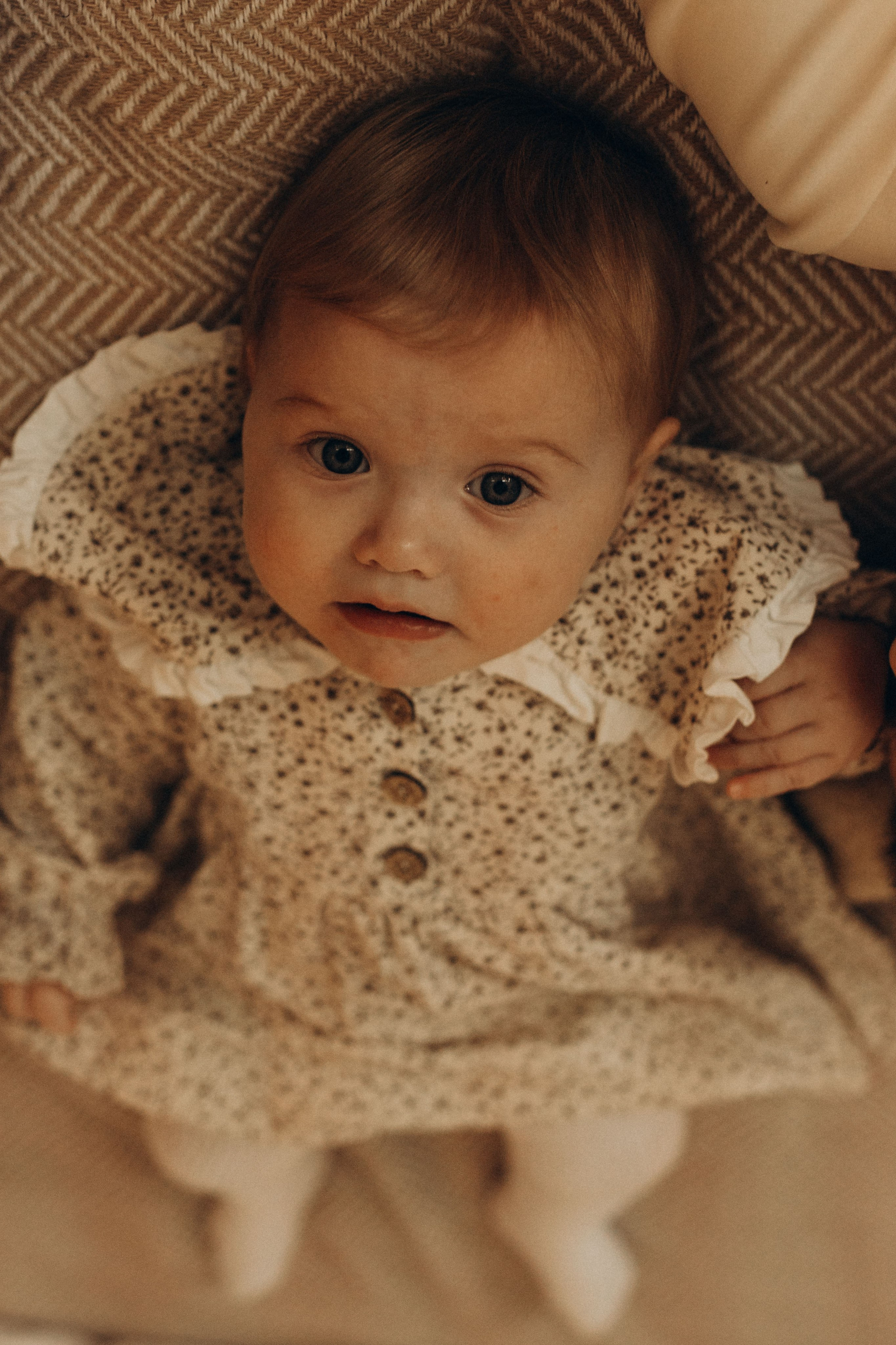 Новогодняя история Дмитрия, Полины и Анюты. Фотограф в Ставрополе Svetlana Matveeva