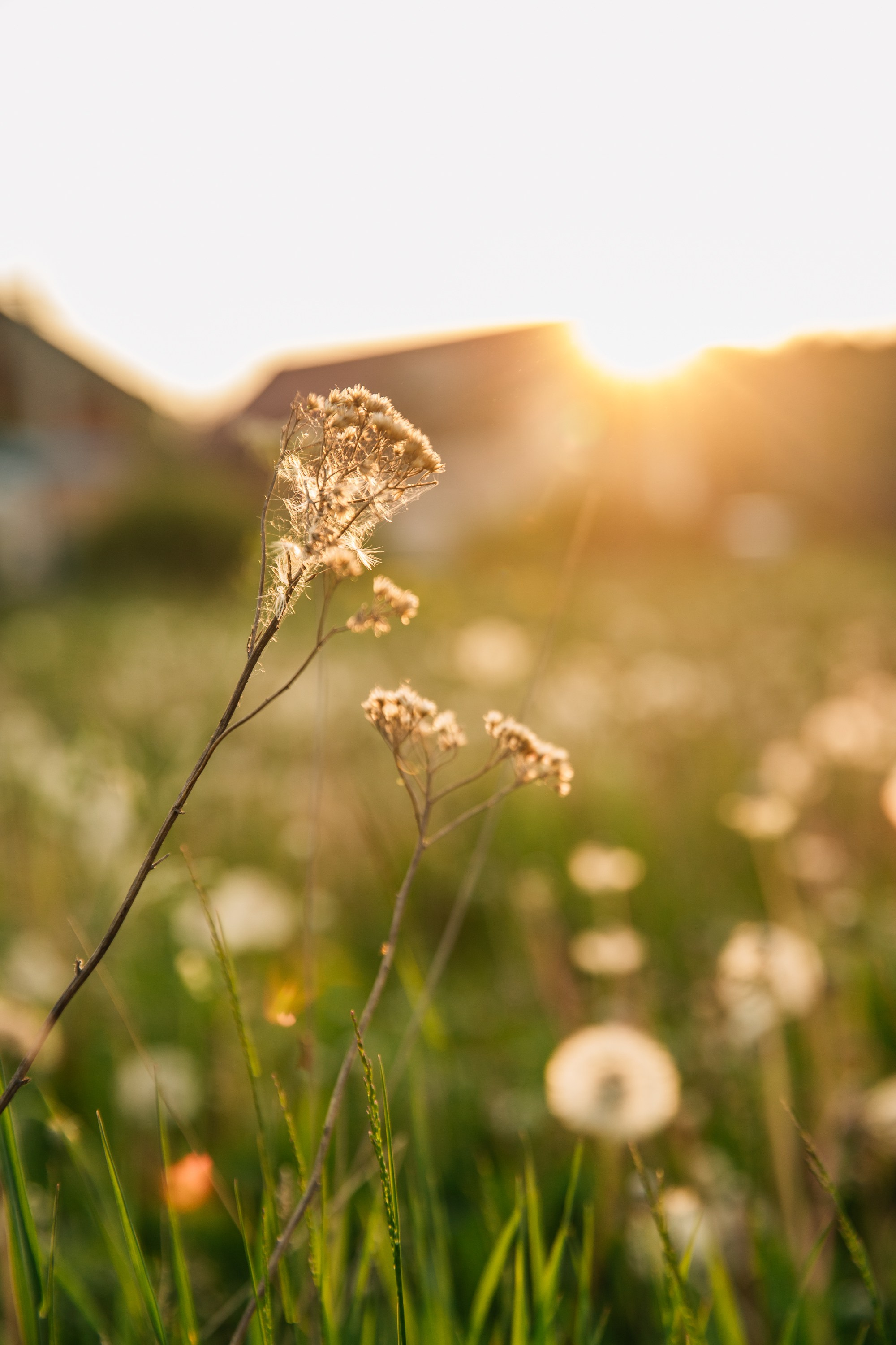 Иркутск природа