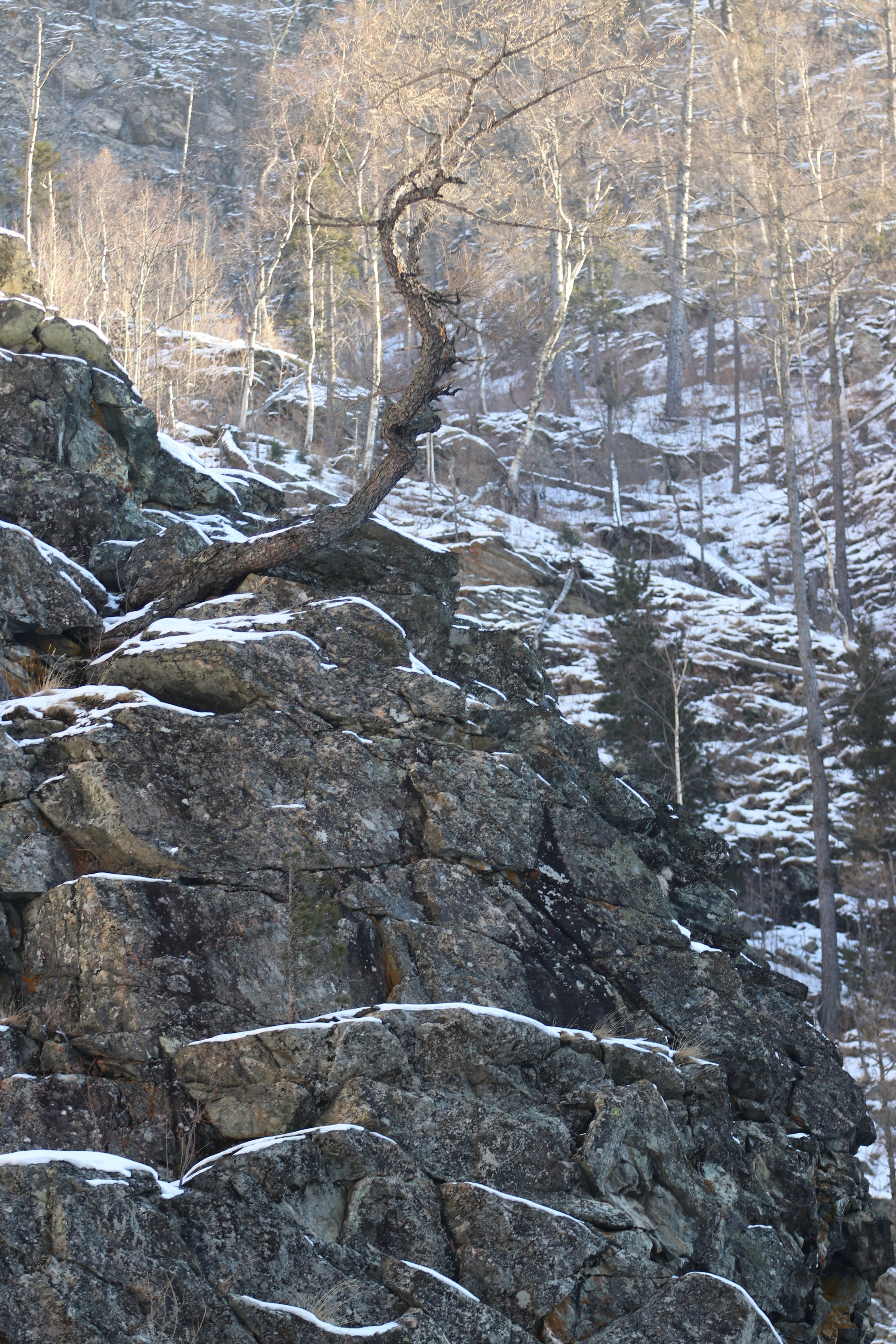 Аршан. Январь 2022. Путешественник-фотограф из Санкт-Петербурга Татьяна Свистулина