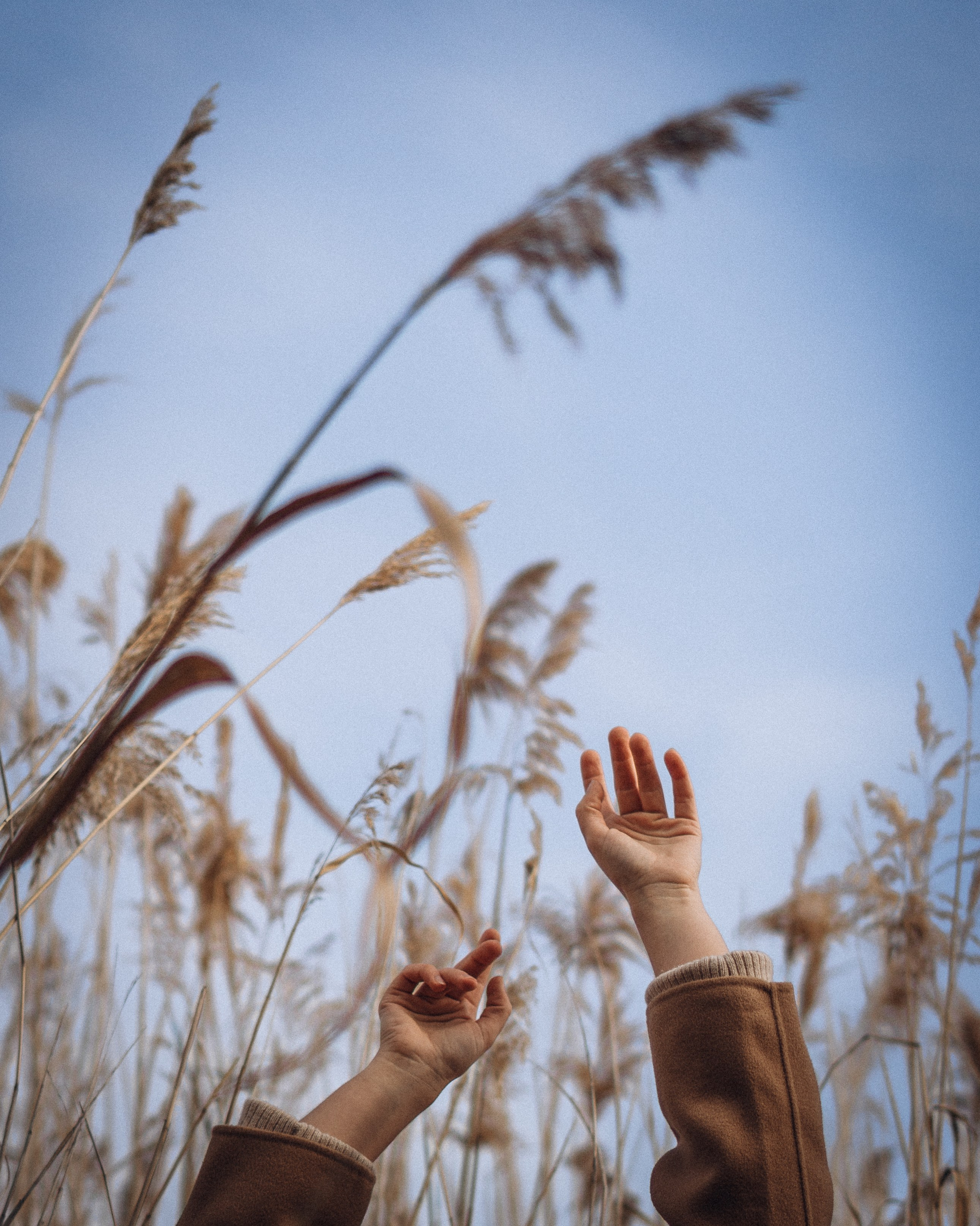 Лера. Natalya Bondareva Photographу