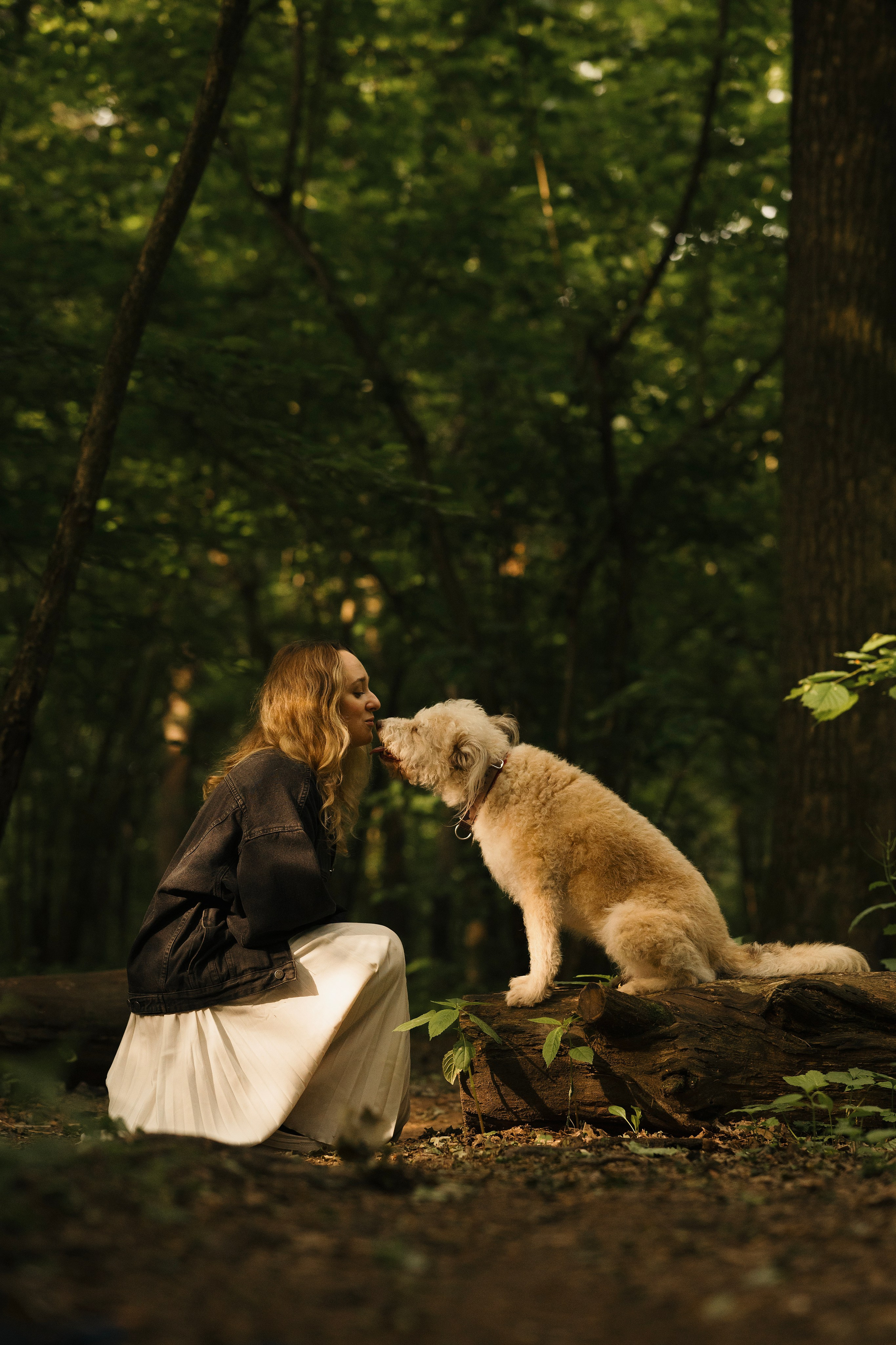 Акиро и Йоши. Фотограф- анималист Александра Матвеева
