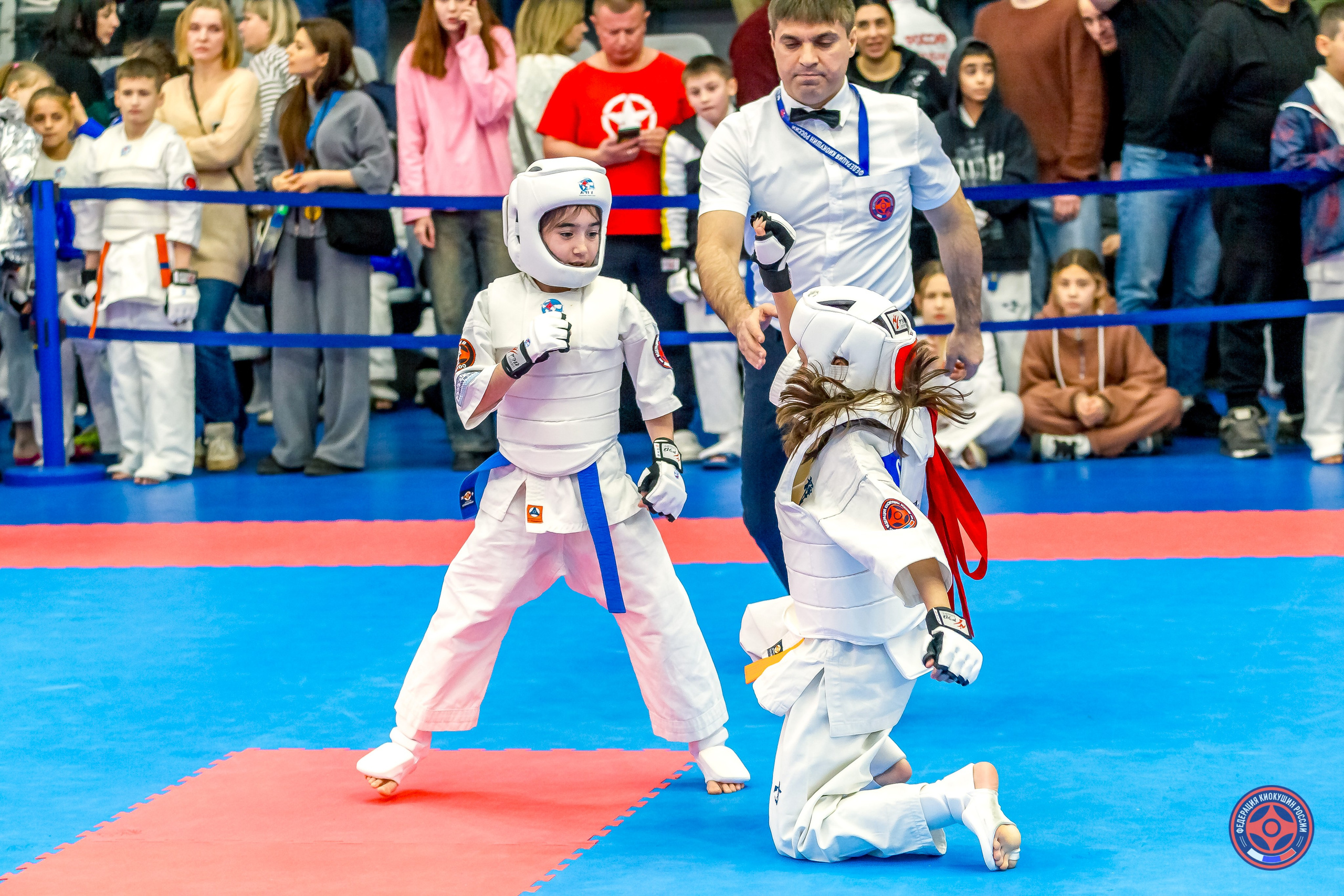 Международный турнир по киокушин «Открытый кубок Seiken». Репортажная съемка в Москве и области. Анималистика