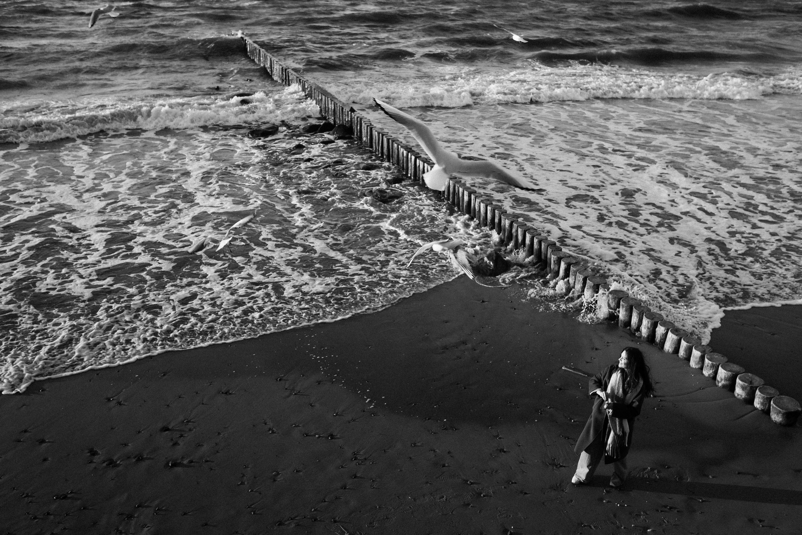 Ольга. Фотограф Зеленоградск Красильникова Елена