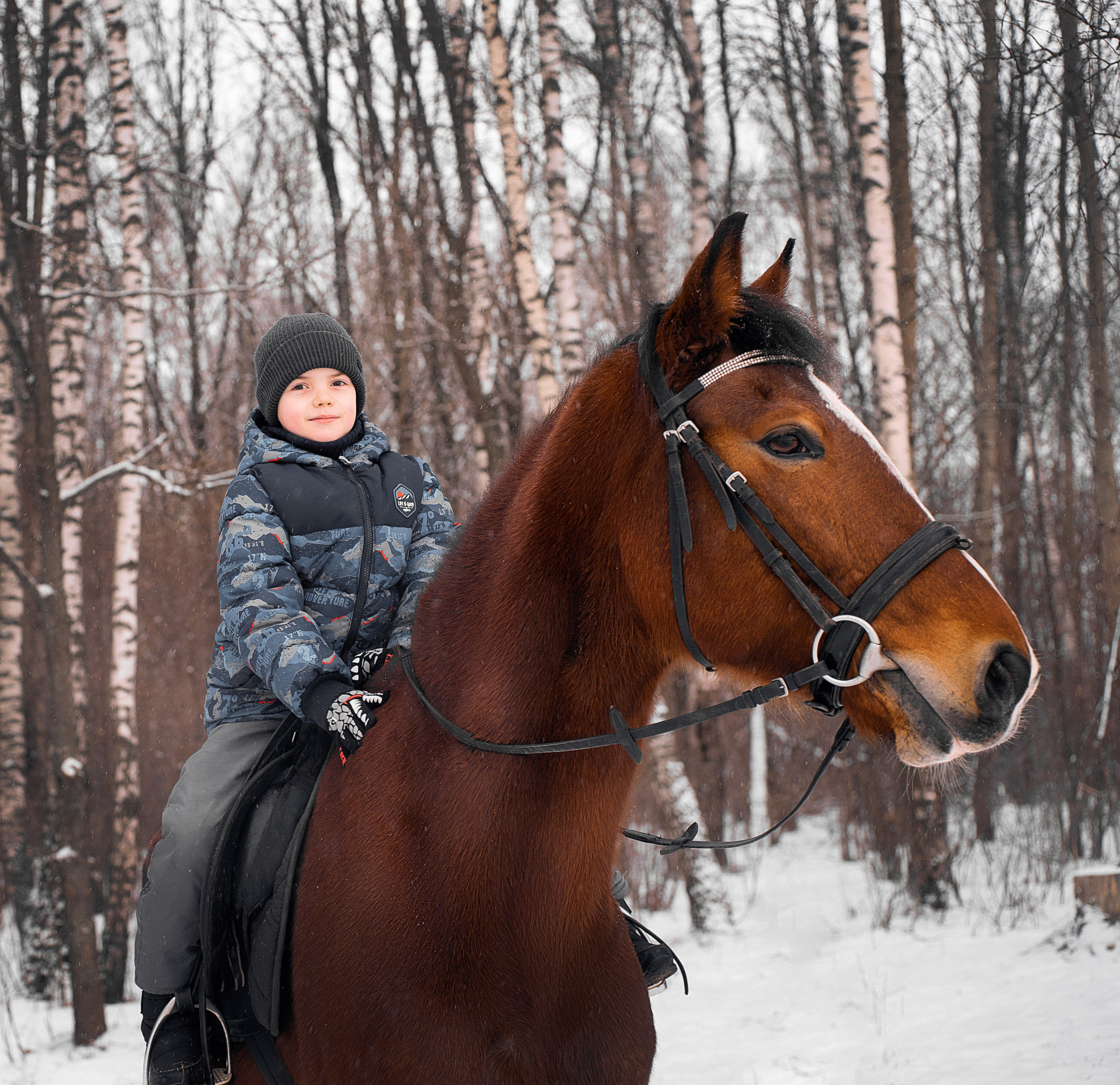 фото ребенок на лошади
