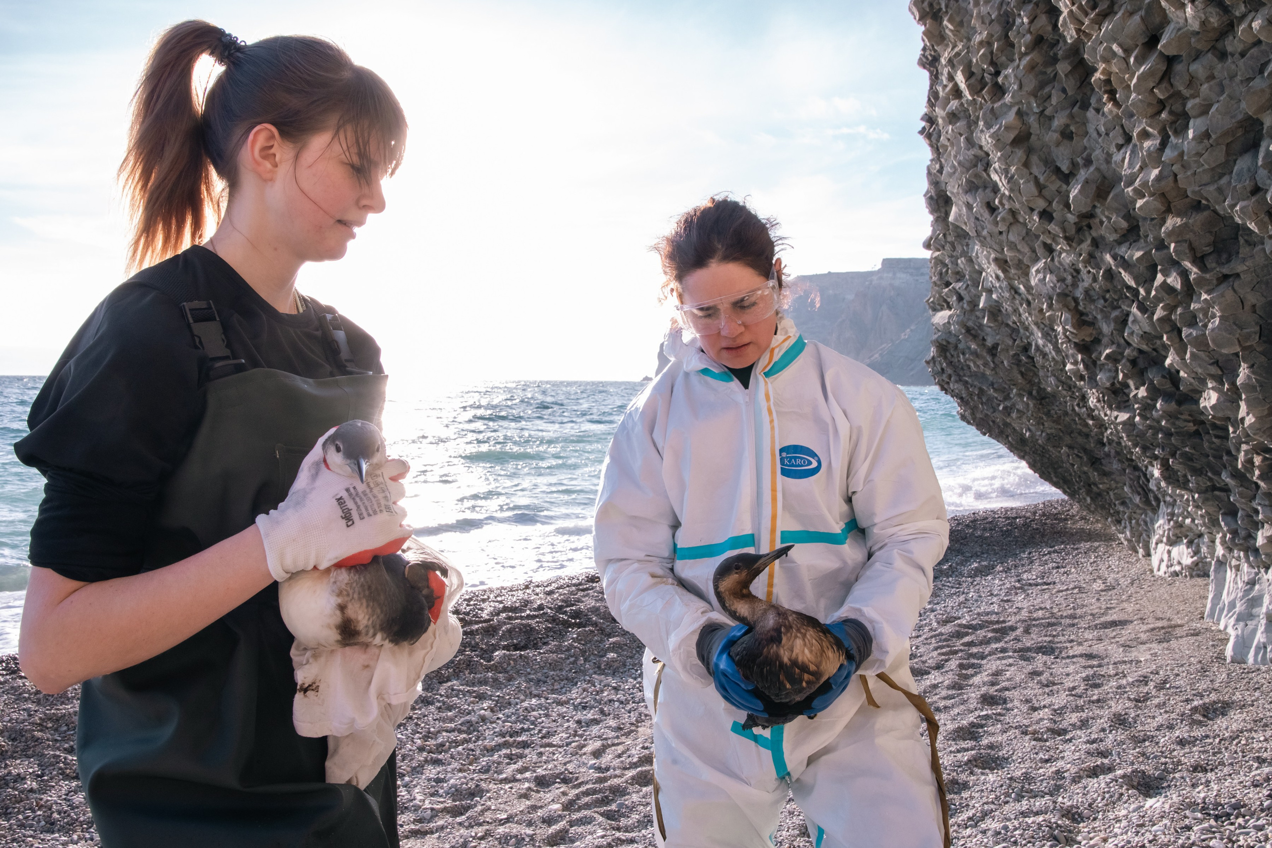 Разлив нефти в Чёрном море — 2025. Роман Наумов профессиональный фотограф