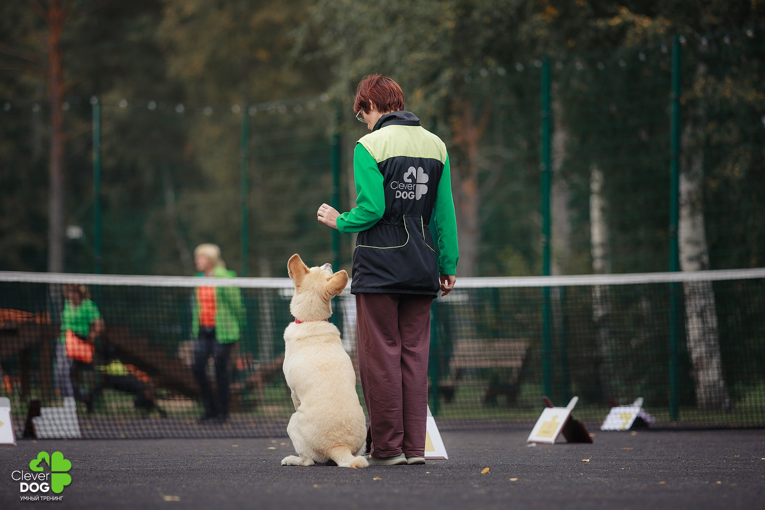 Кинологический лагерь CleverDog, 2024. Фотограф-анималист Mary Mart — Москва, Питер