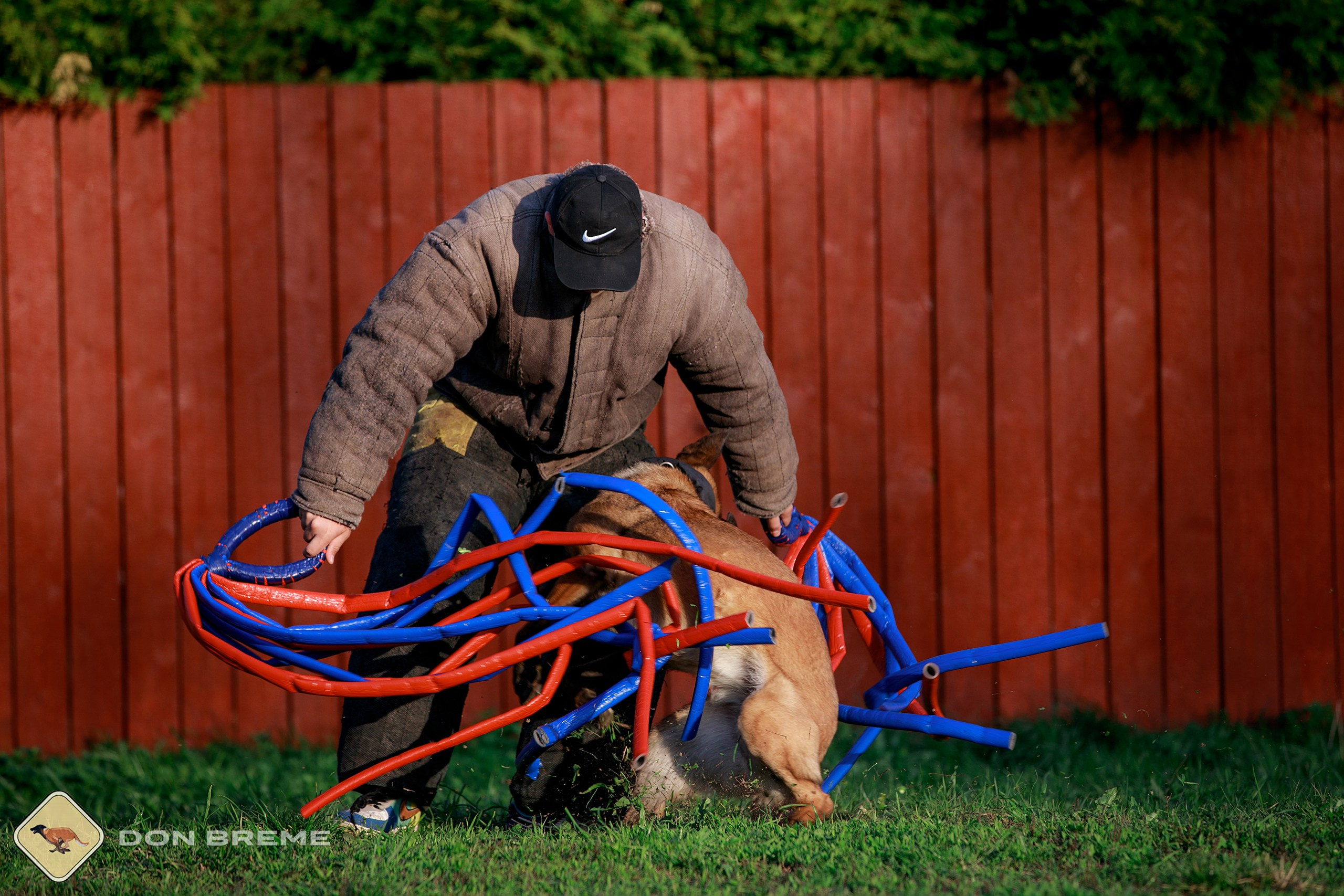 Семинар для фигурантов, день 4. Фотограф-анималист Mary Mart — Москва, Питер