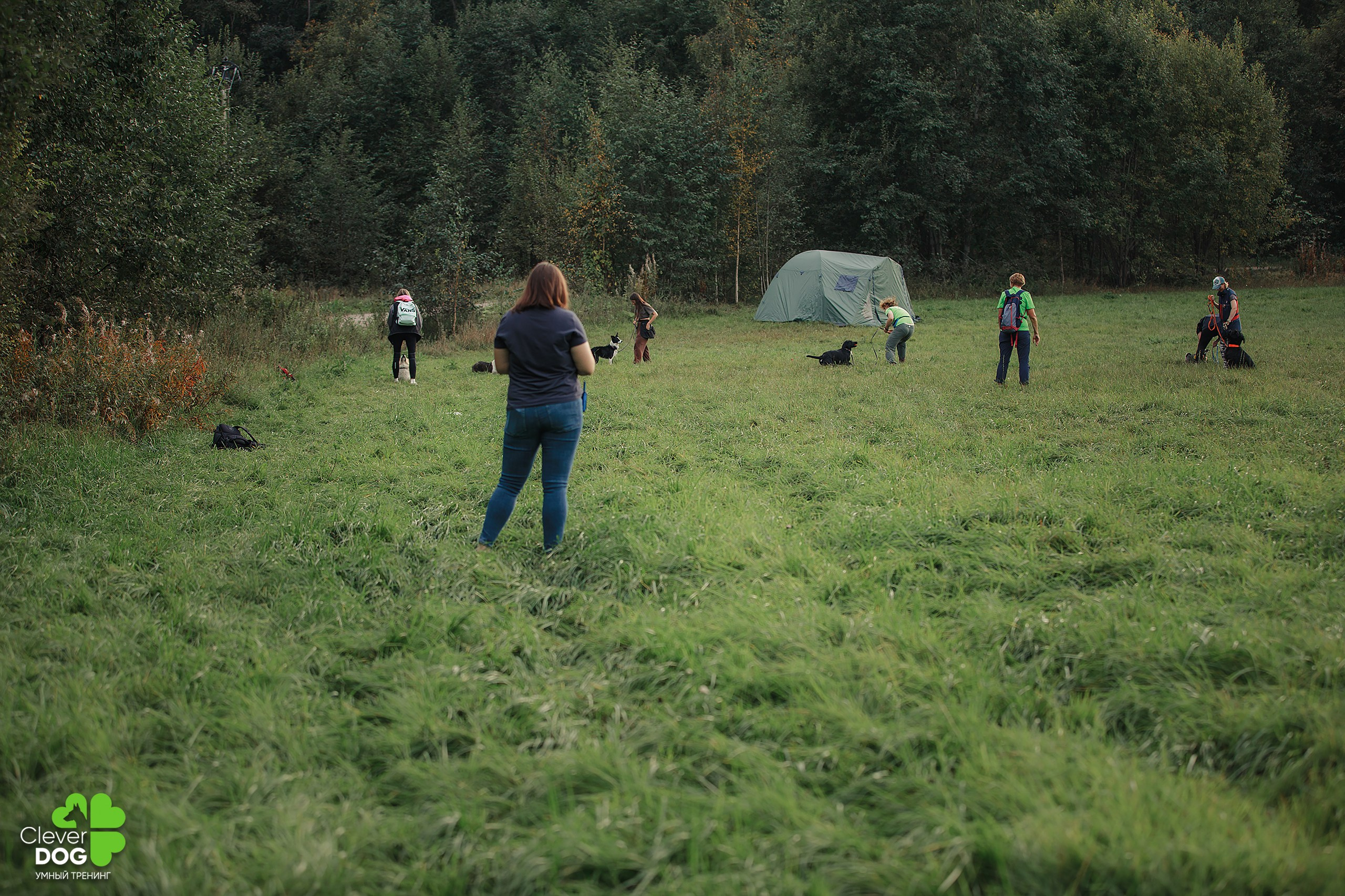 Кинологический лагерь CleverDog, 2024. Фотограф-анималист Mary Mart — Москва, Питер