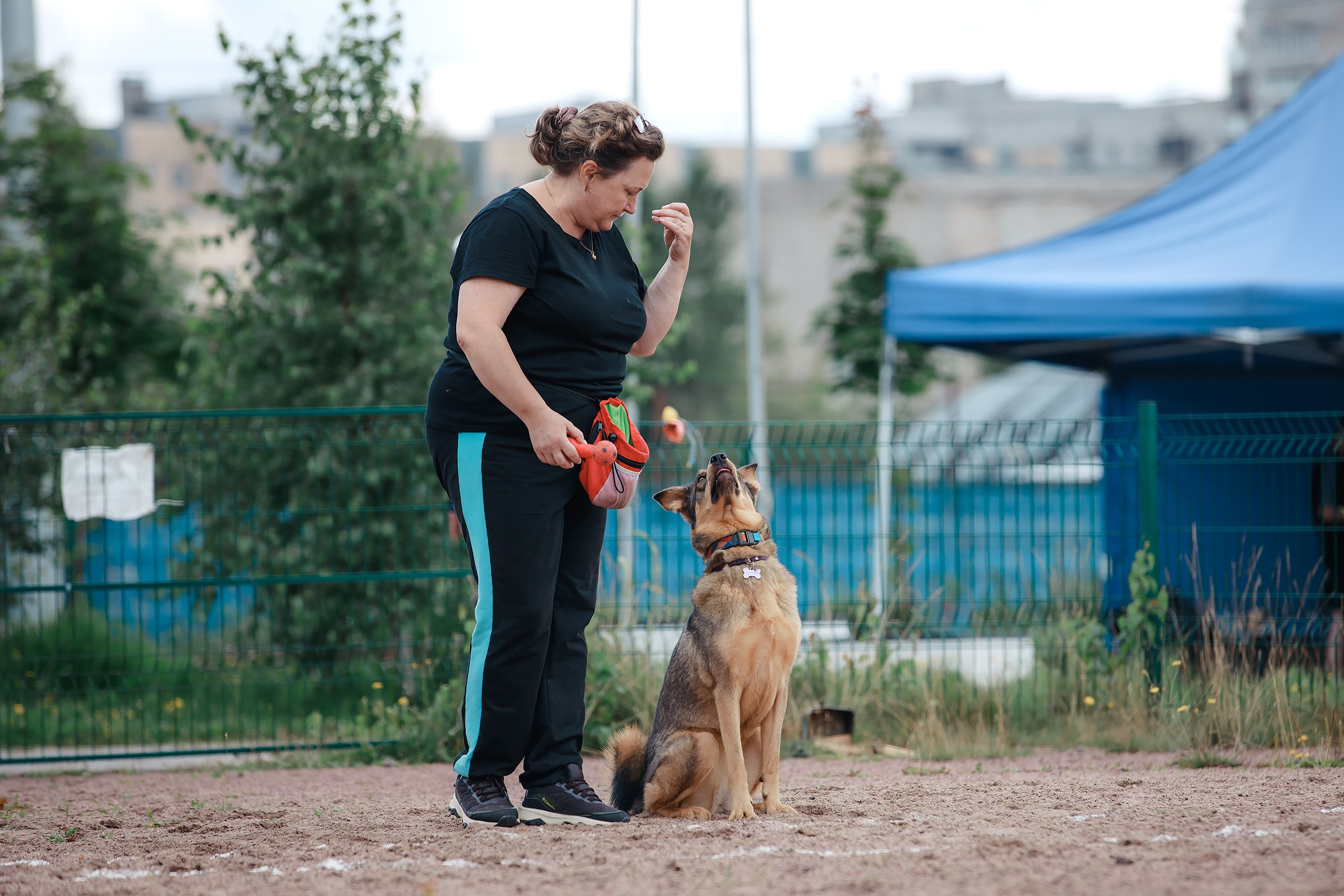 Питч&Гоу + веселые старты. Фотограф-анималист Mary Mart — Москва, Питер