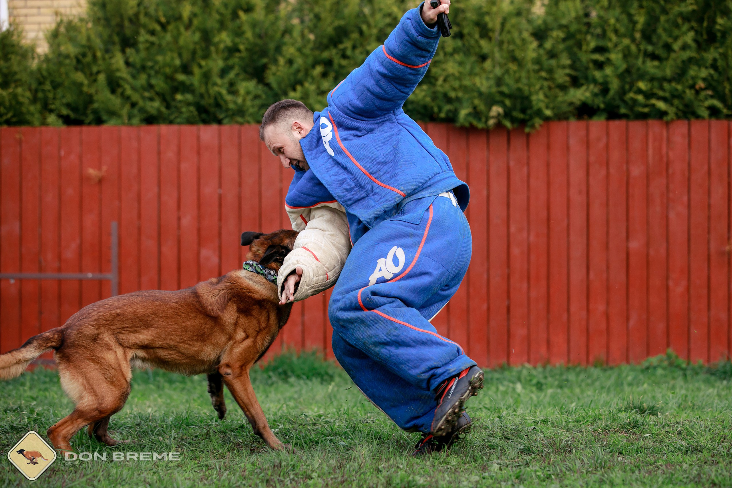Семинар для фигурантов, день 2. Фотограф-анималист Mary Mart — Москва, Питер