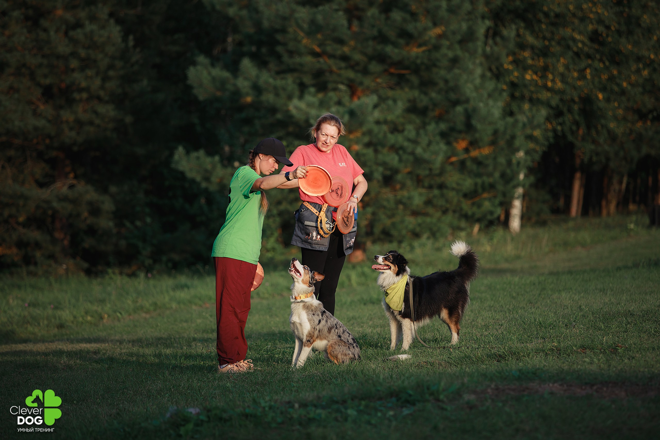 Кинологический лагерь CleverDog, 2024. Фотограф-анималист Mary Mart — Москва, Питер