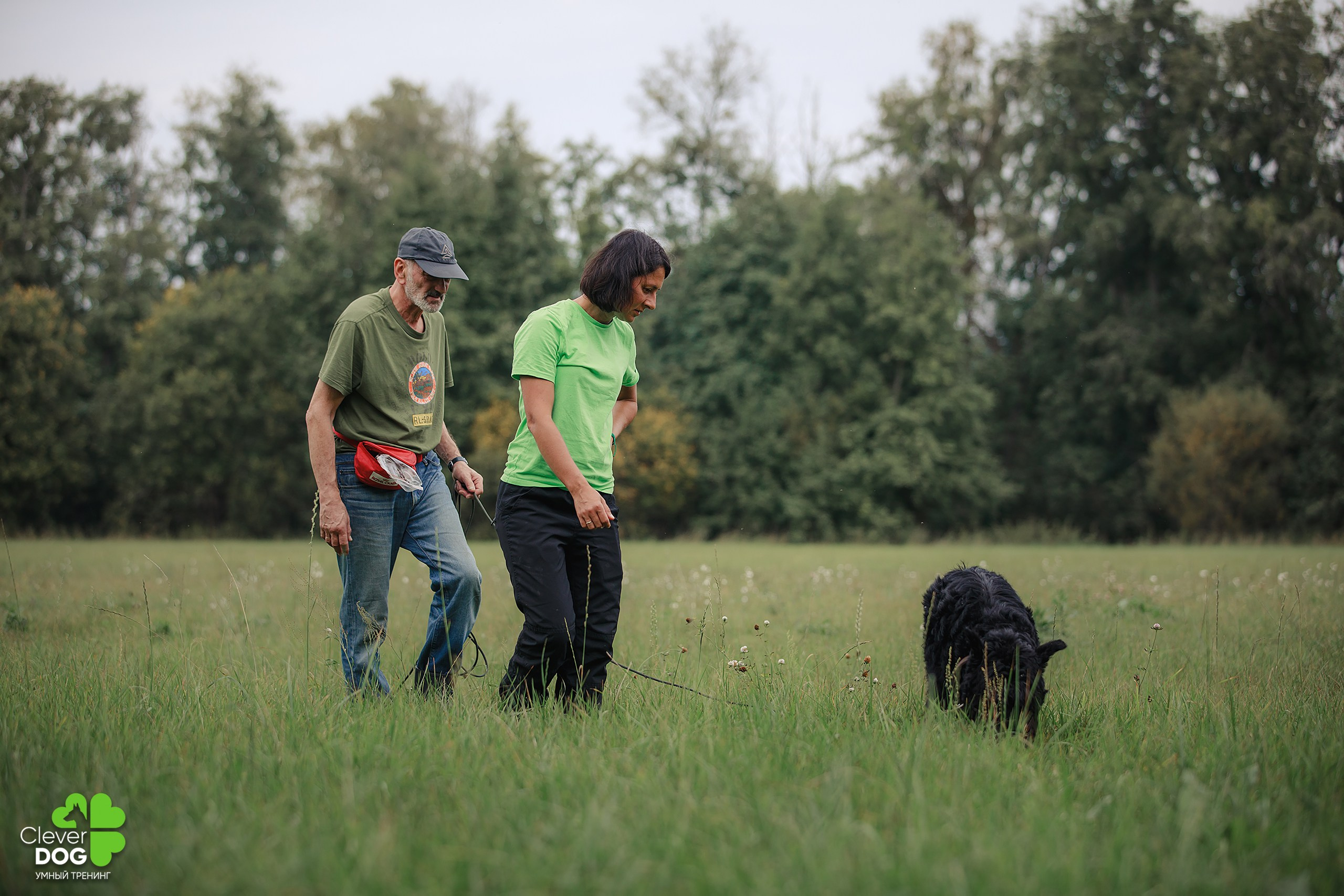 Кинологический лагерь CleverDog, 2024. Фотограф-анималист Mary Mart — Москва, Питер