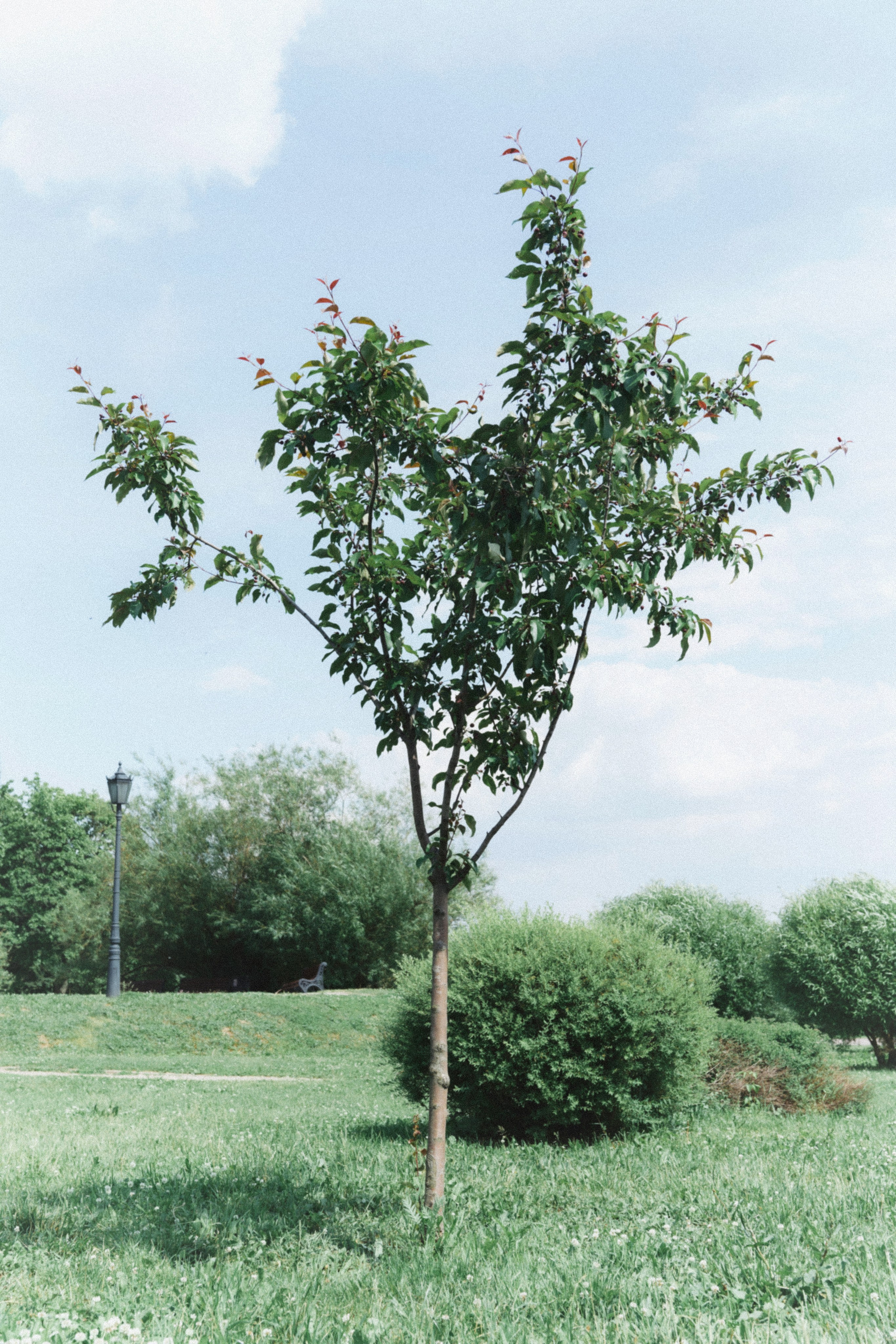 Юля. Фотограф и видеограф в Москве Юлия Прушинская