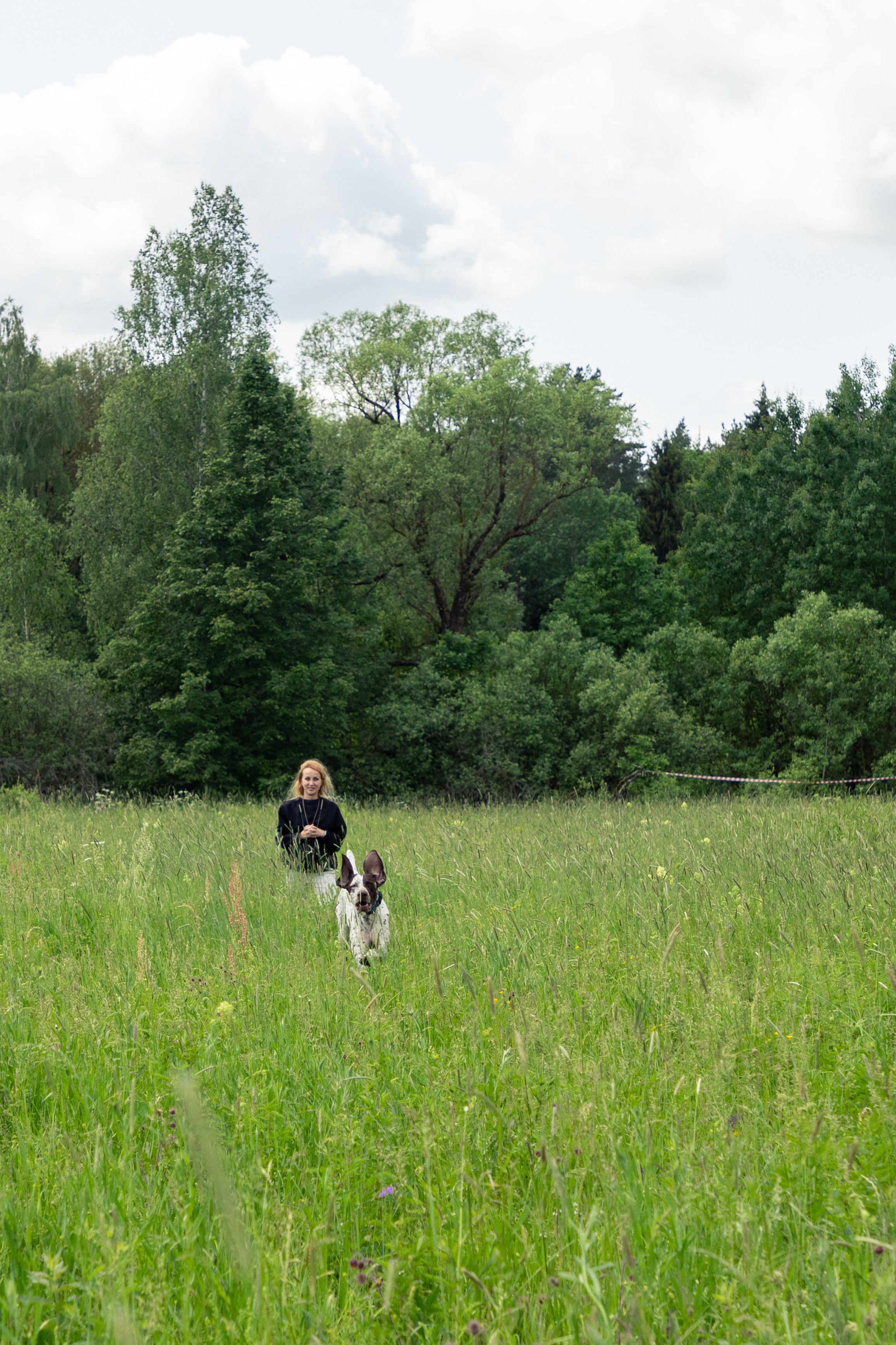 ДПСО «ЛизаАлерт». Главная