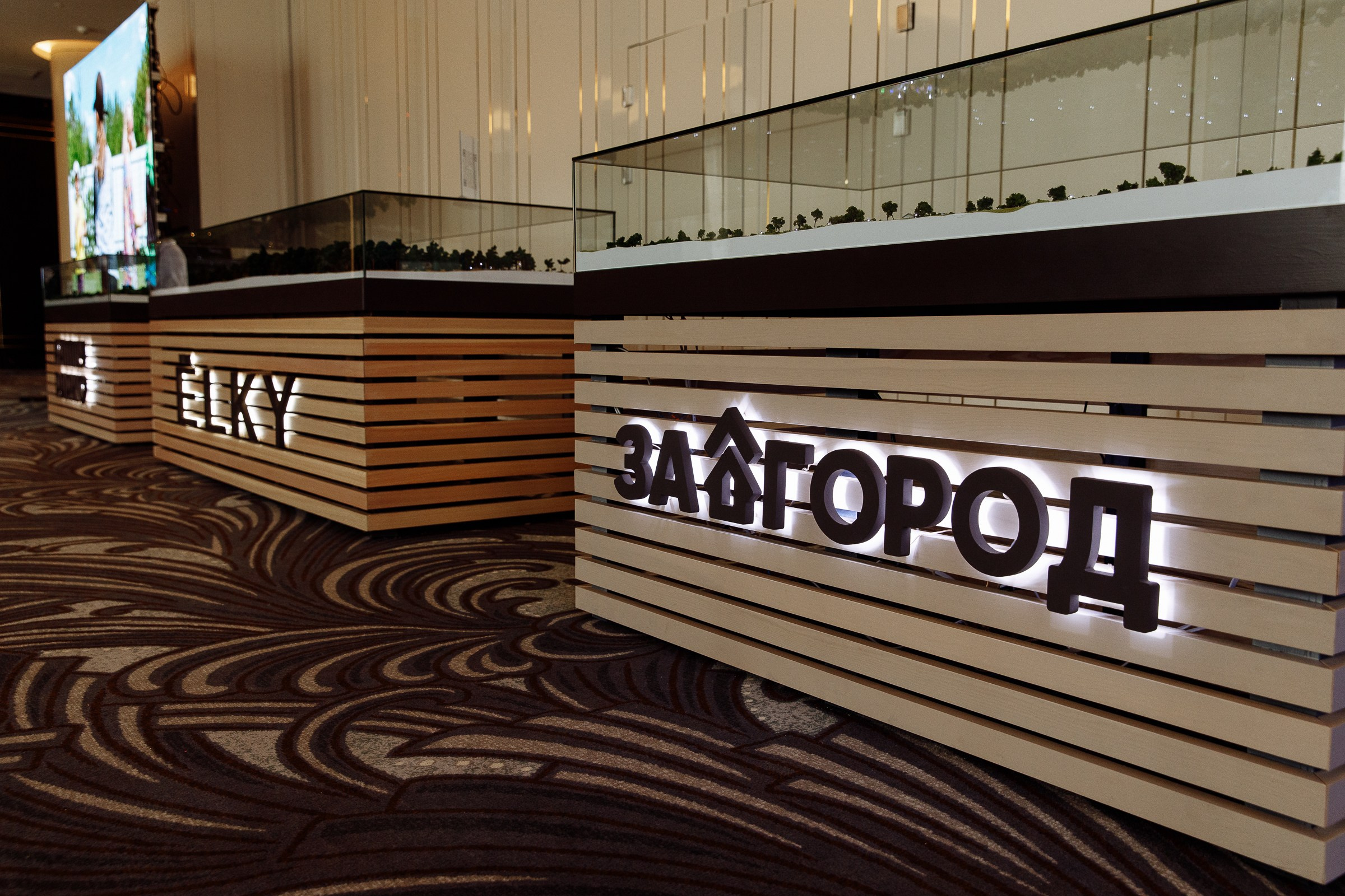 День Рождение ASSET. Свадебный фотограф в Самаре и Тольятти Полина Никитина