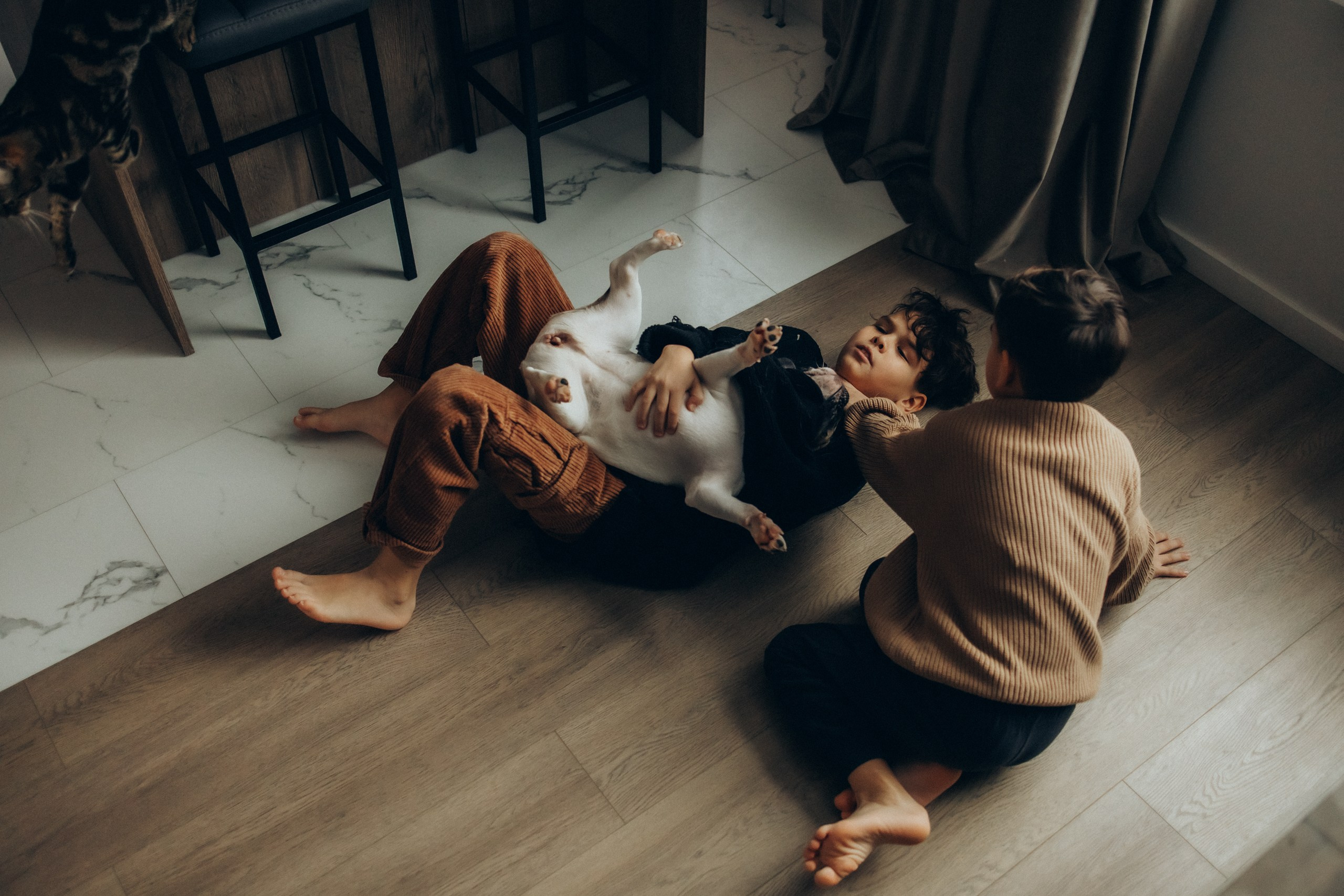 Руслан, Тимур и Луна. Семейный фотограф Москва