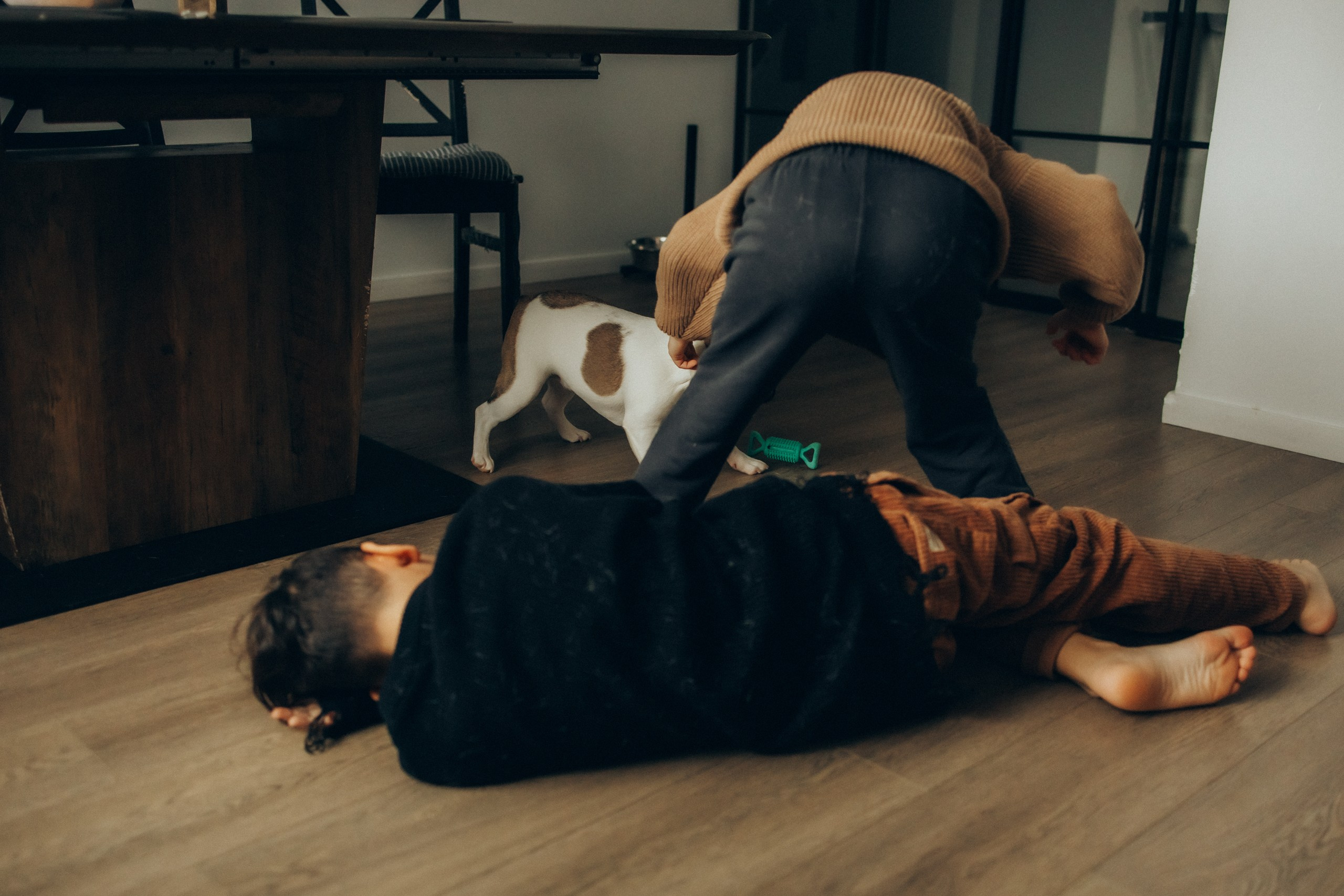 Руслан, Тимур и Луна. Семейный фотограф Москва