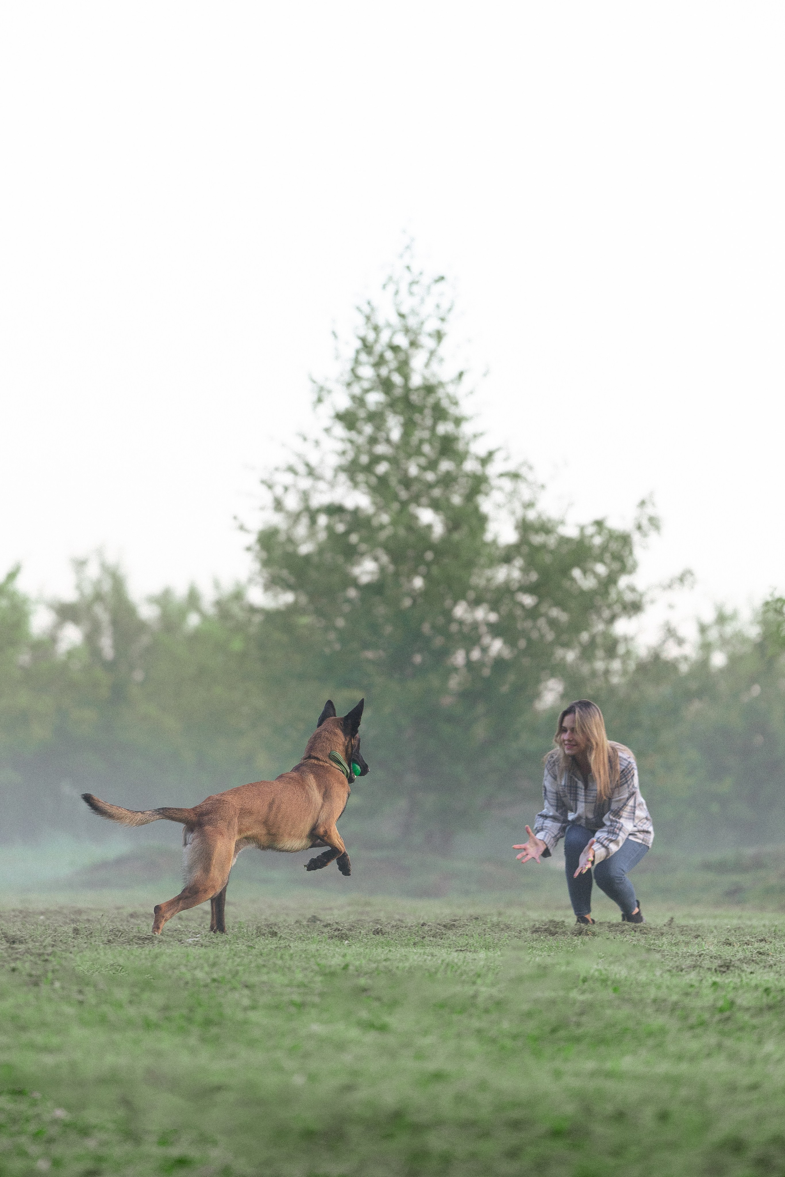 Галина и Кодекс. Фотограф и видеограф анималист Аганина Дарья