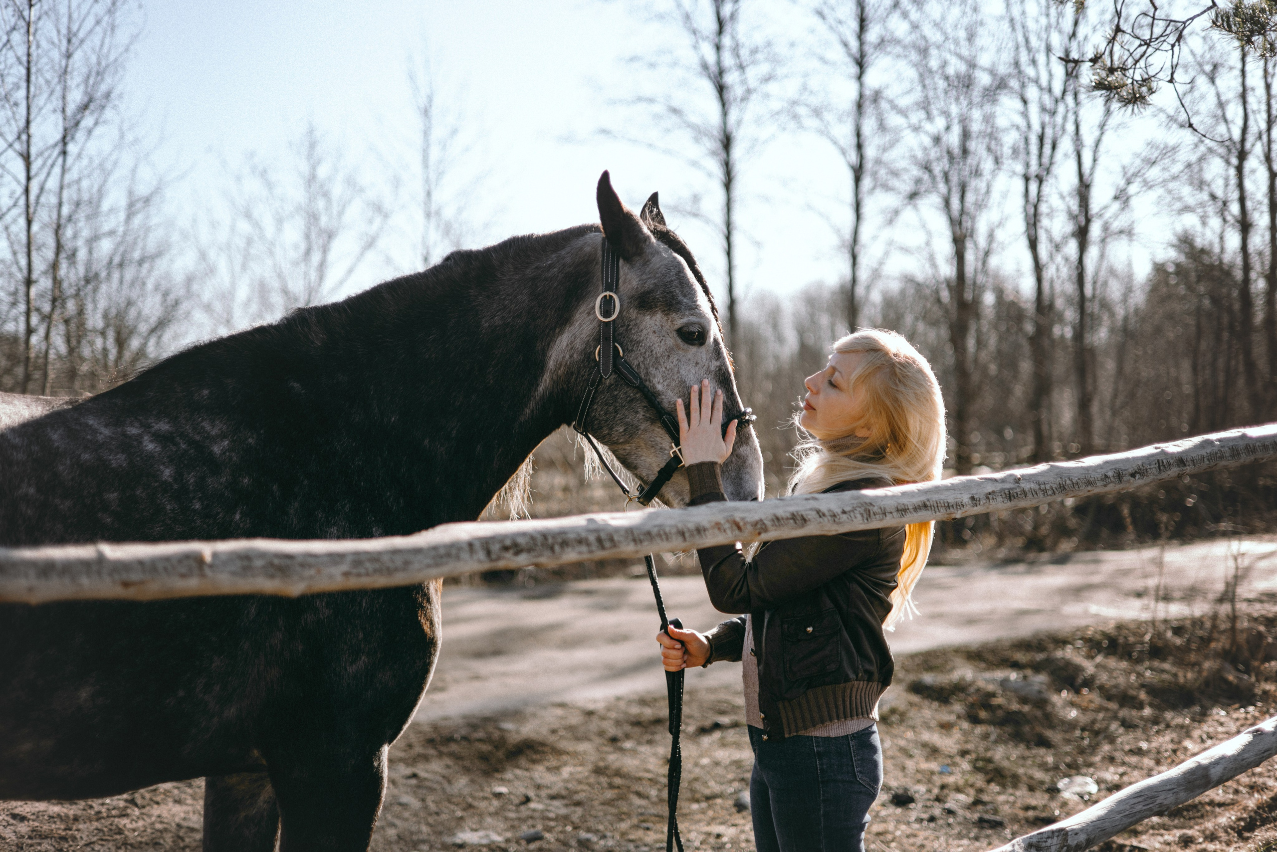 Ирина и Командор. Фотограф анималист Осипчикова Мария