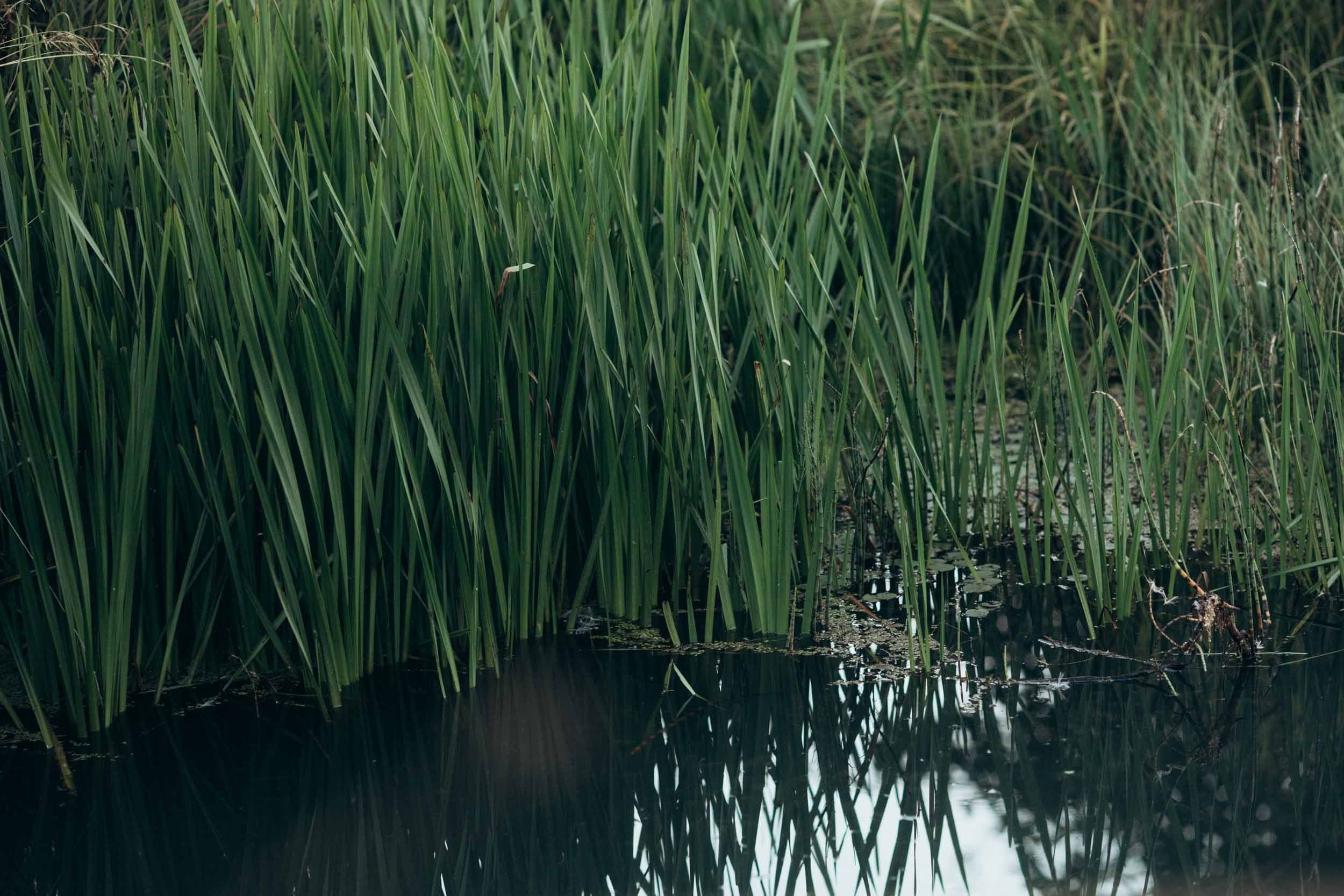 Природные пейзажи. Наталия Клевинскас портретный фотограф в Костроме