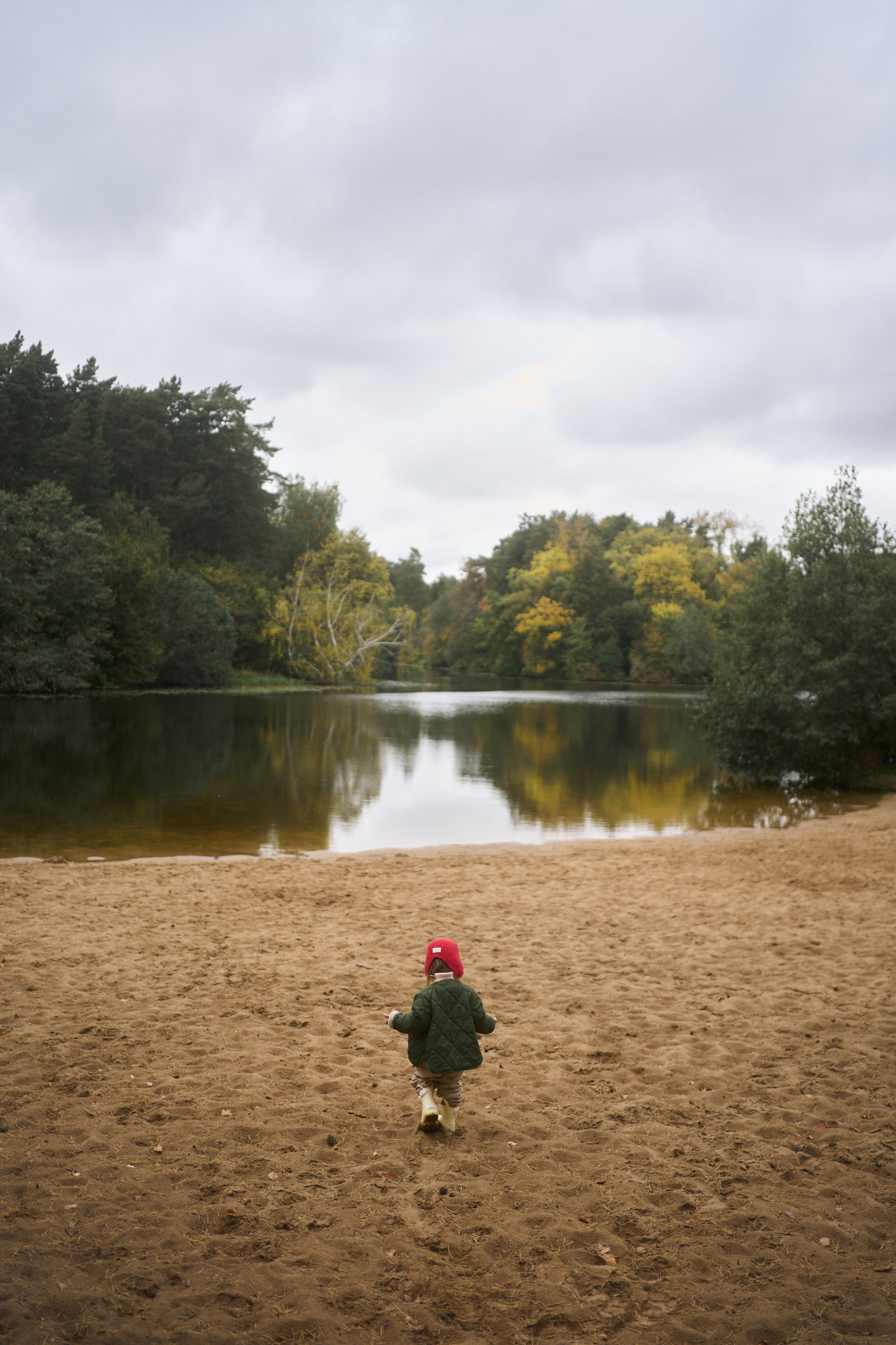Печенье в песке. Фотограф анималист Москва Дарья