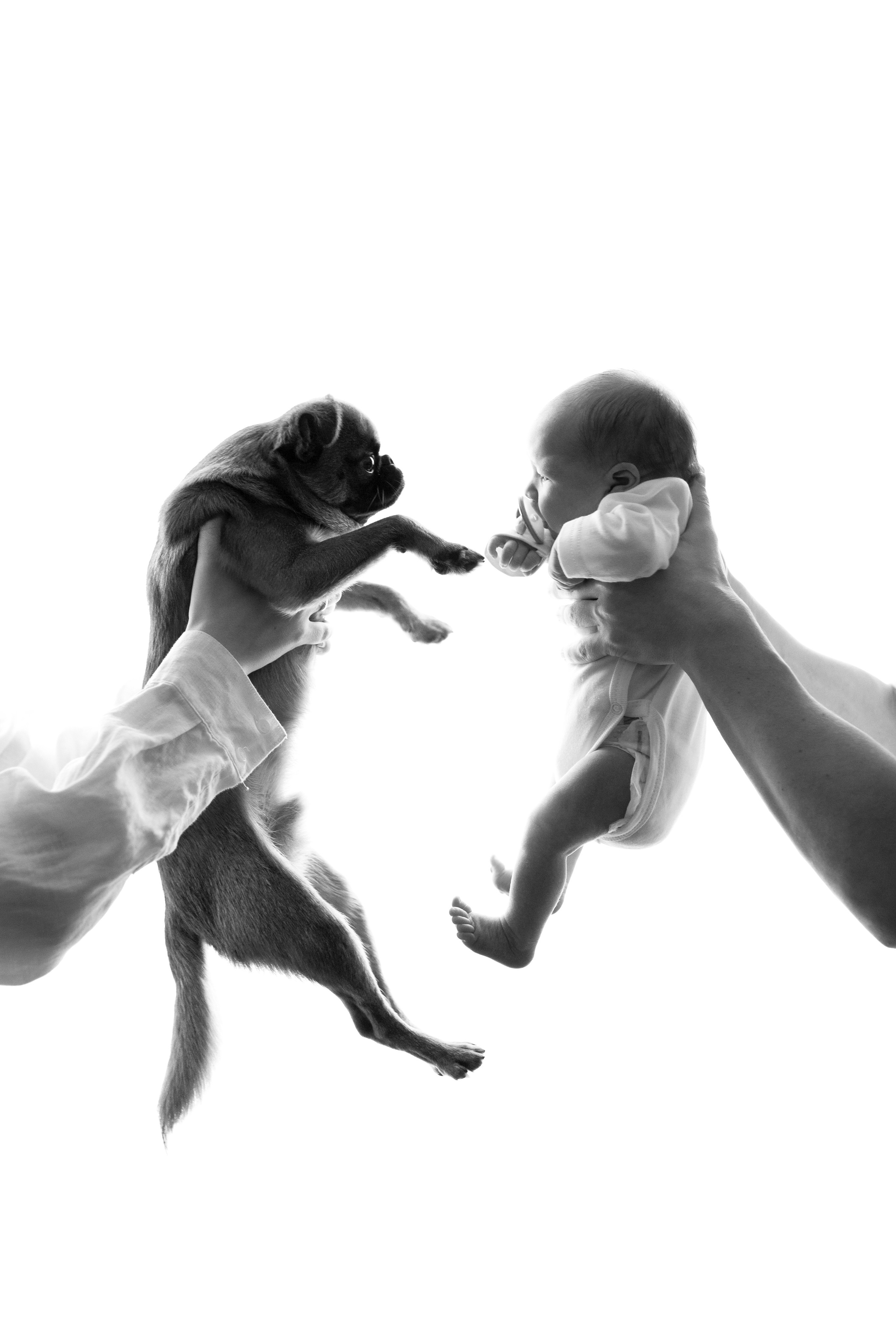 Класический. Фотограф уникального направления ньюборн в Москве Екатерина Буценина