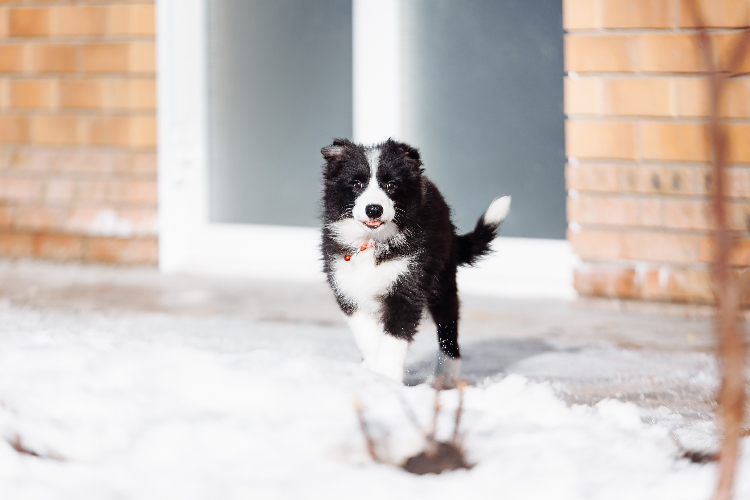 Пока таяло. О нас