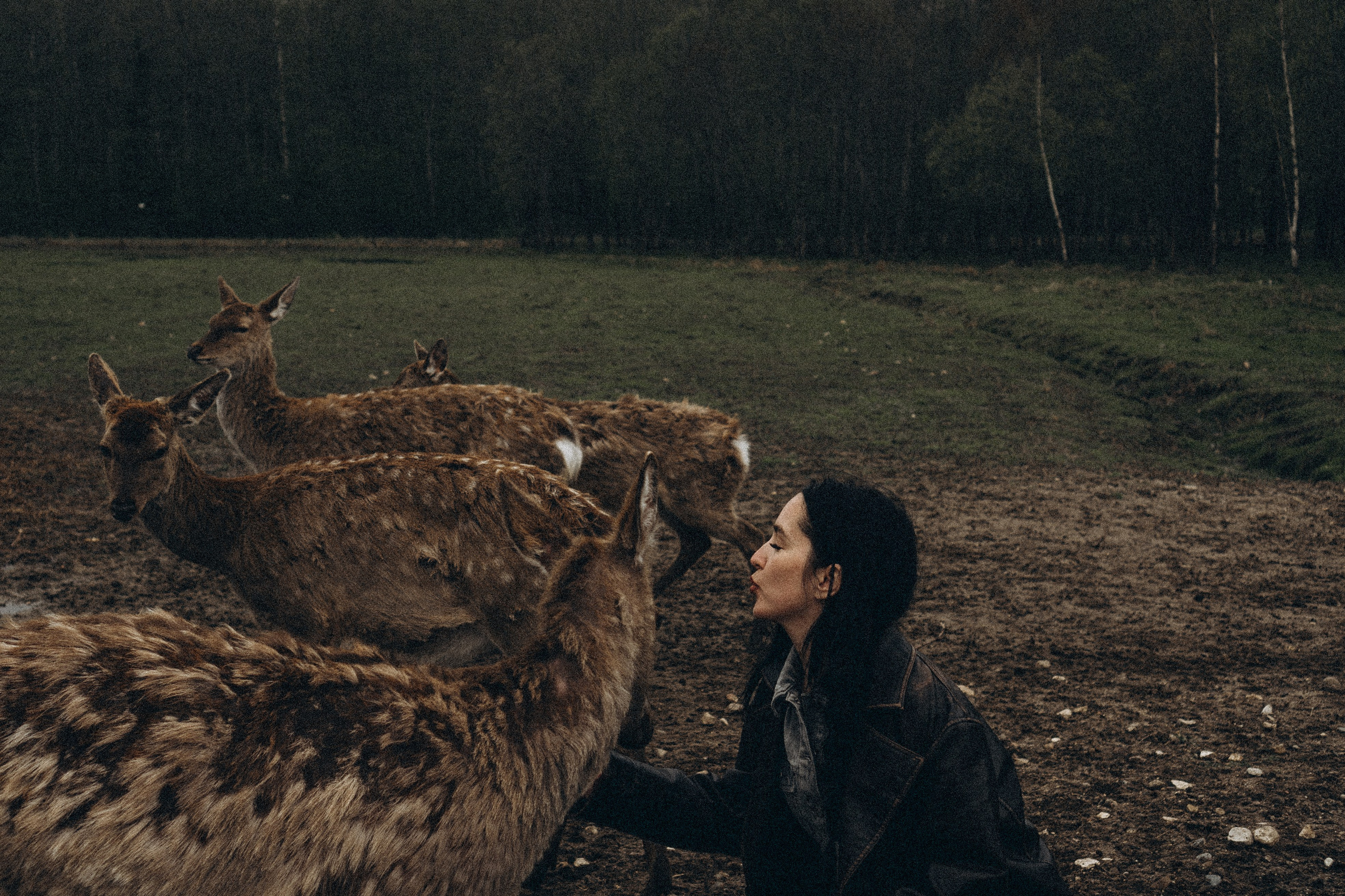 ОЛЕНЬЯ ФЕРМА В ТВЕРИ. Профессиональный фотограф, Санкт-Петербург — Виктория Богомолова