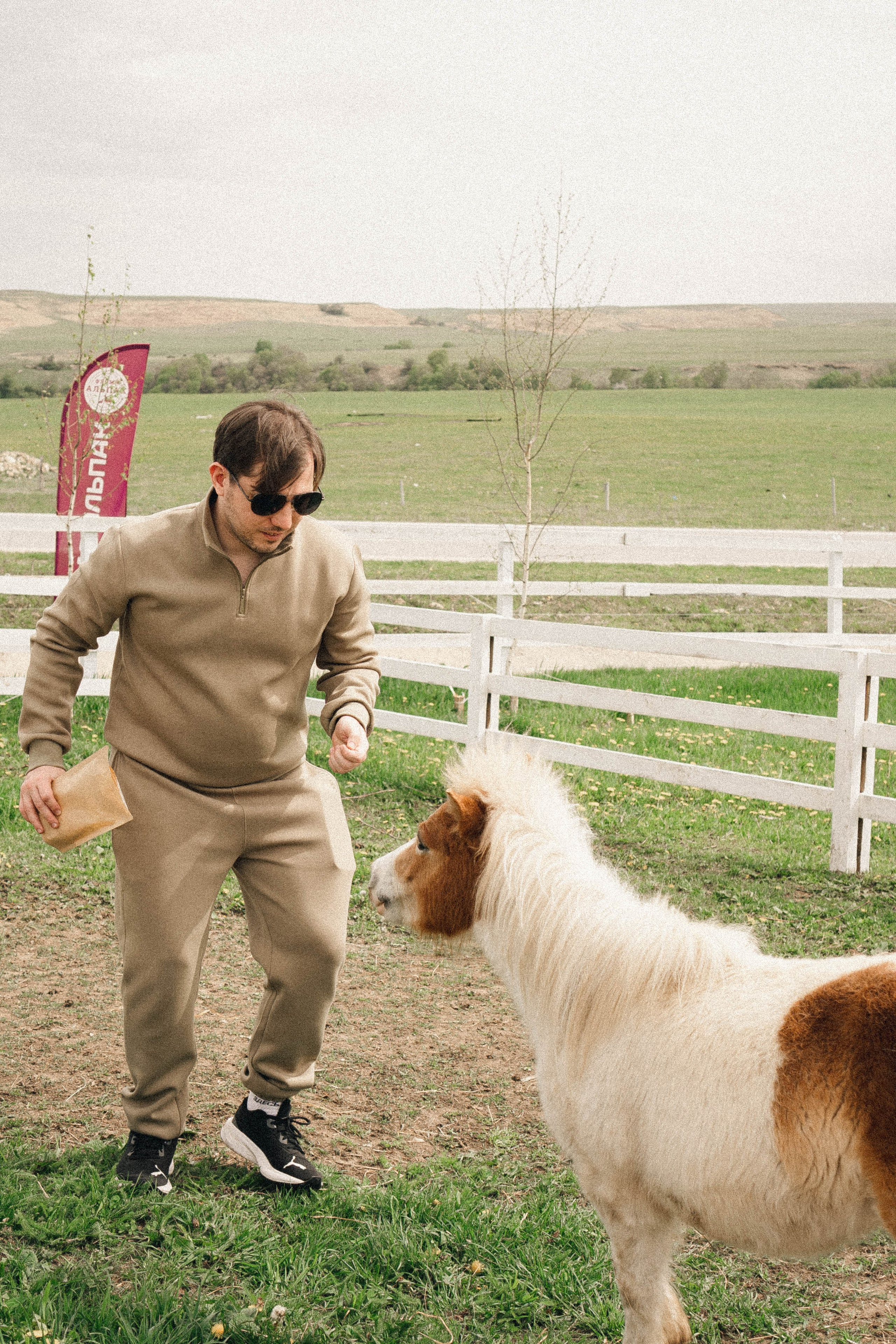 Ферма Альпак. Профессиональный фотограф, Санкт-Петербург — Виктория Богомолова