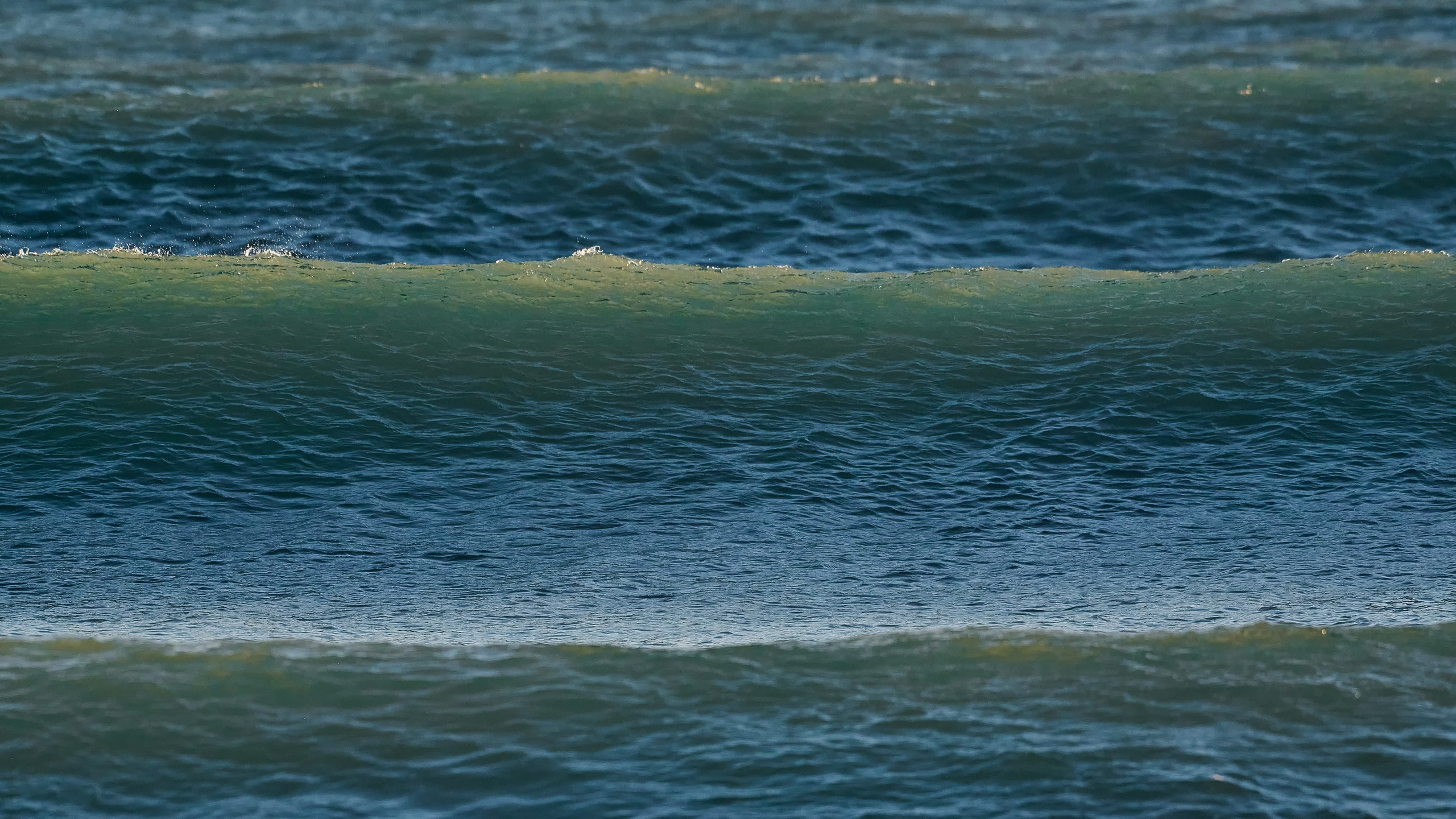 Морская волна с брызгами