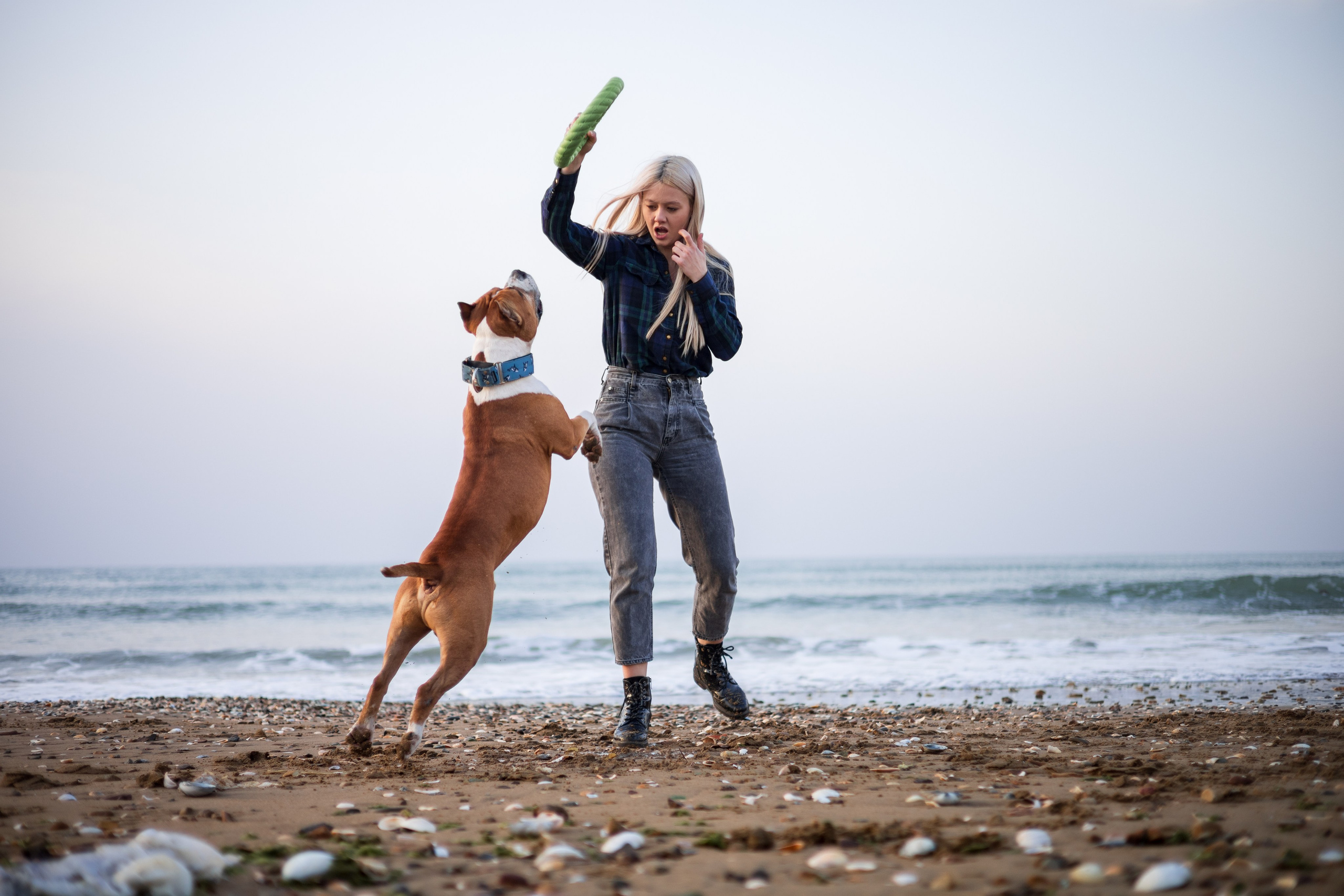 Юля и Харви. Фотограф — анималист Владивосток, Алина