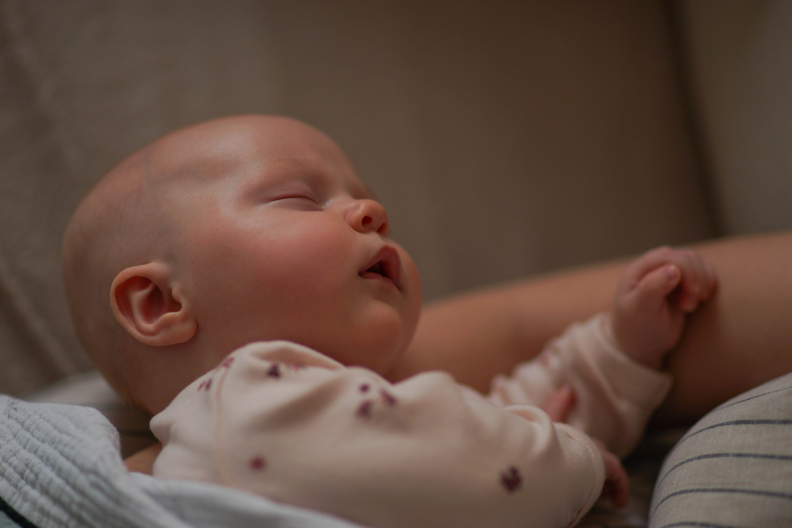 Семья Сабины. Семейный и детский фотограф Троицк Москва