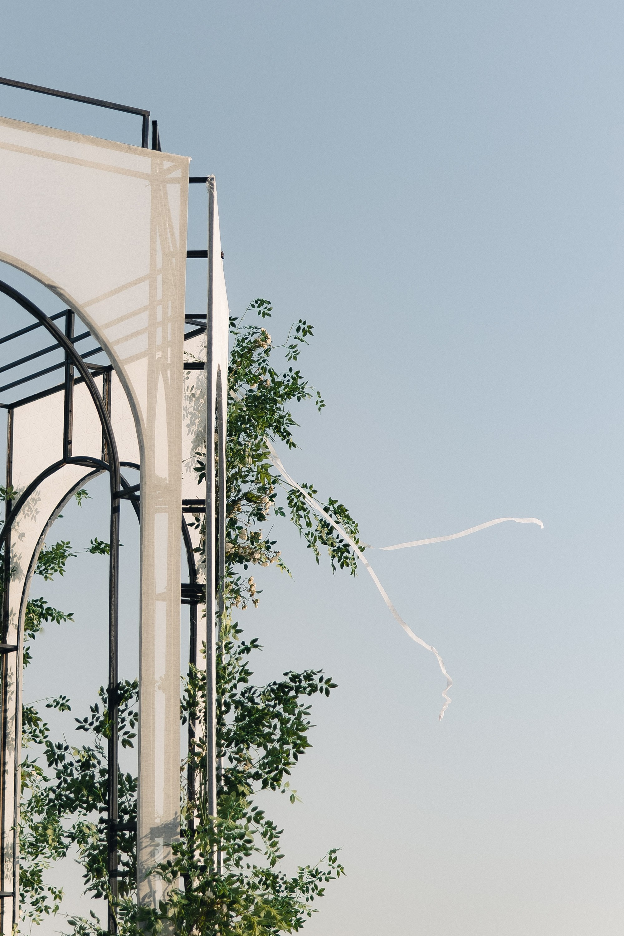 CLASSIC. Свадебный фотограф в Москве Александр Рыжков