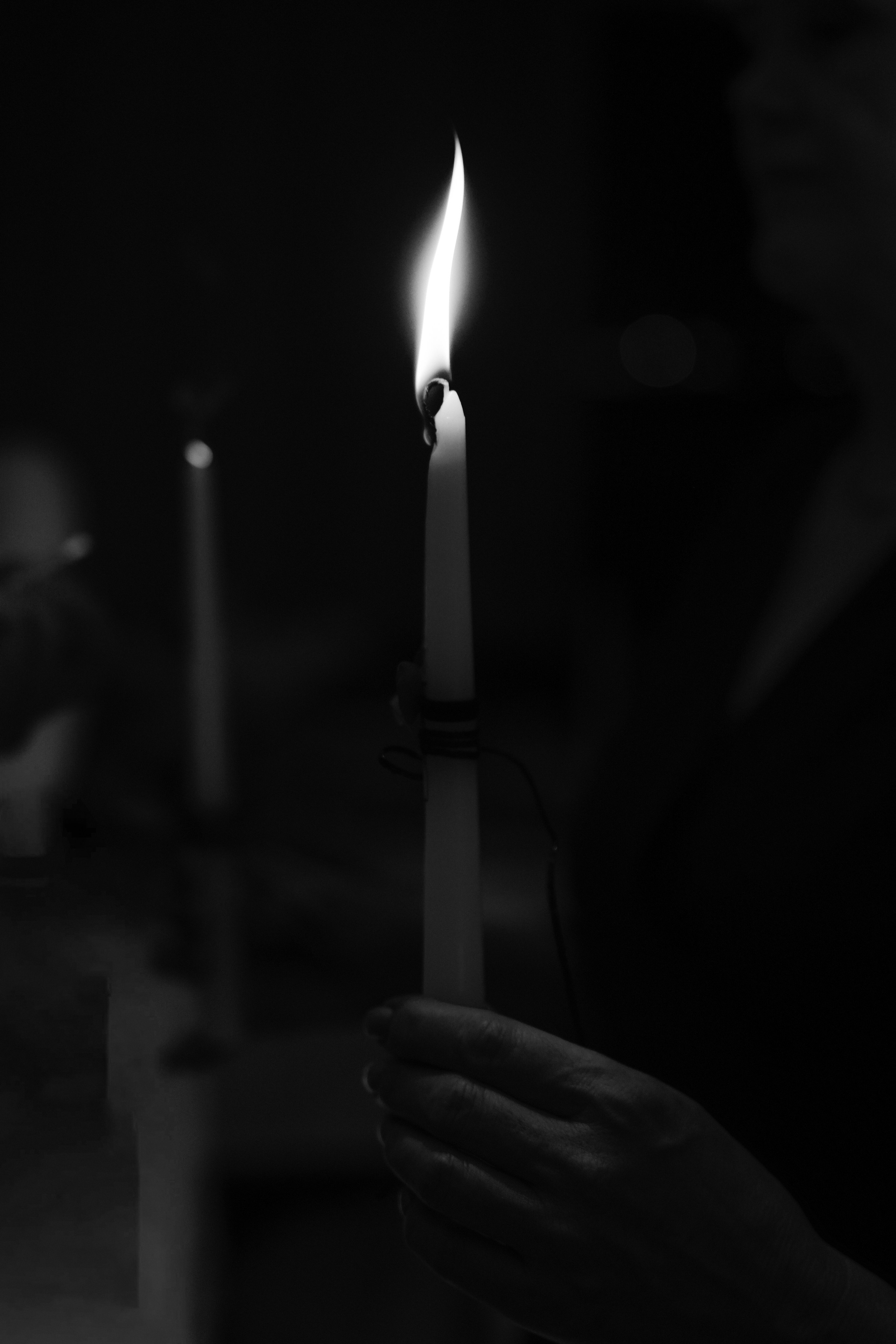 Astoria. VISUAL ARTIST · KRONGAUZ ANASTASIA