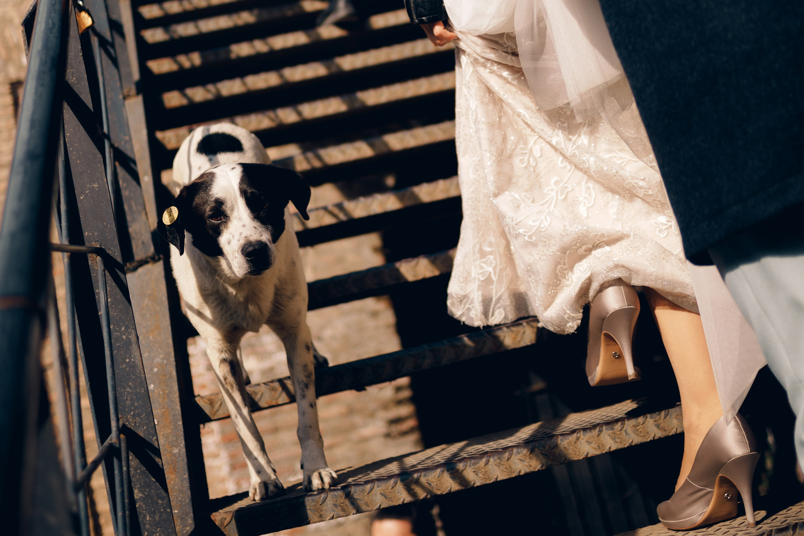 Елена и Андрей. Фотограф в Тбилиси Наталья Фомина