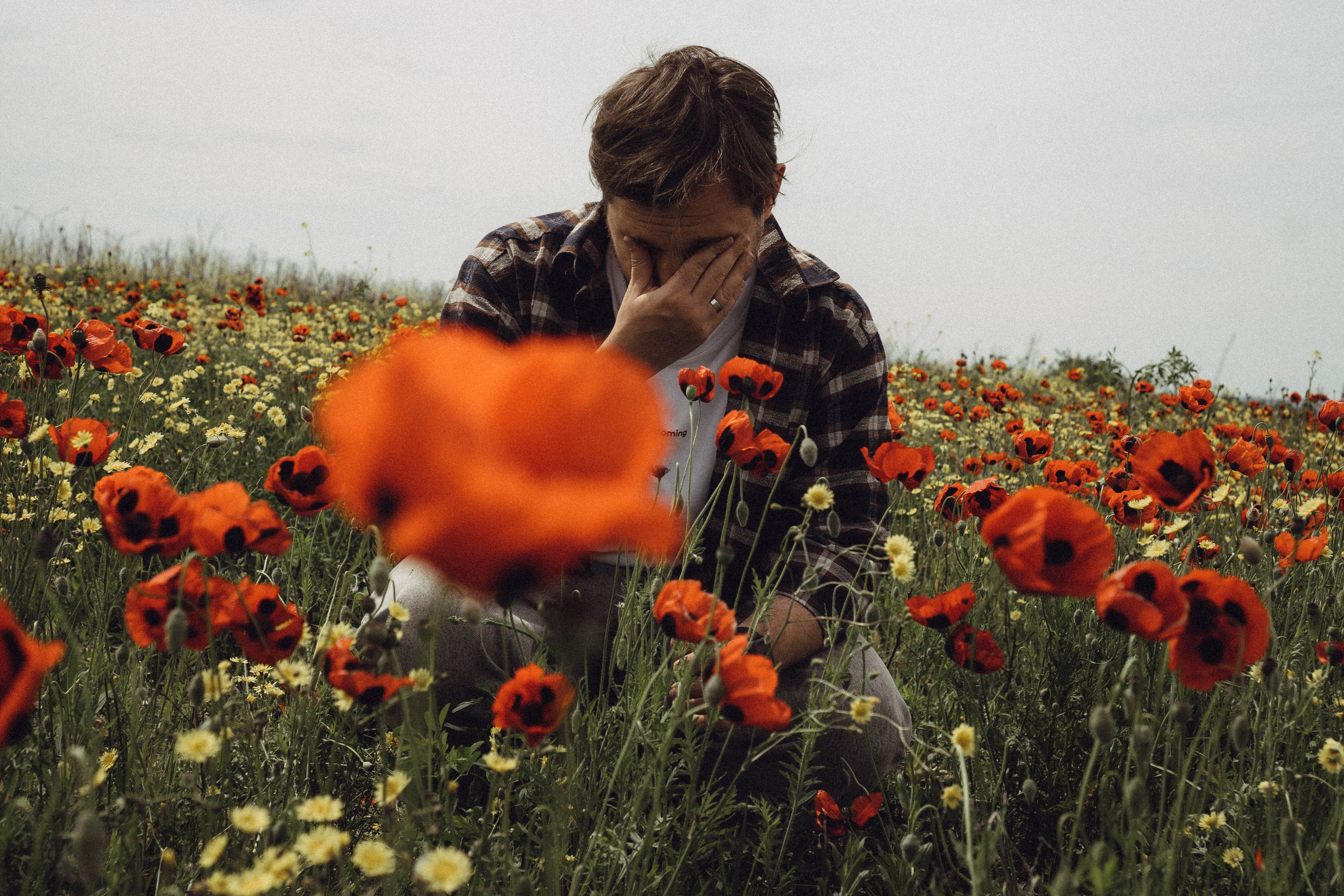 Маки. Профессиональный фотограф, Санкт-Петербург — Виктория Богомолова