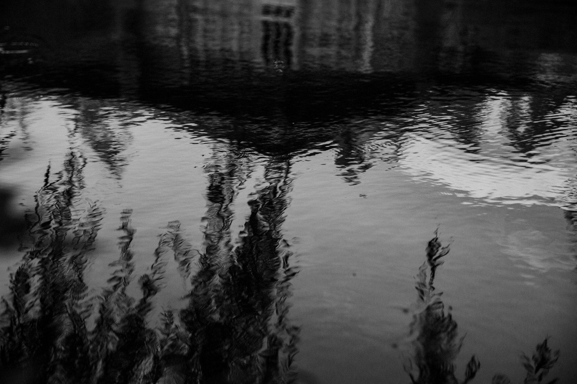 Свадьба Виталий и Мария. Творческий фотограф в Москве Наталья Ермолова