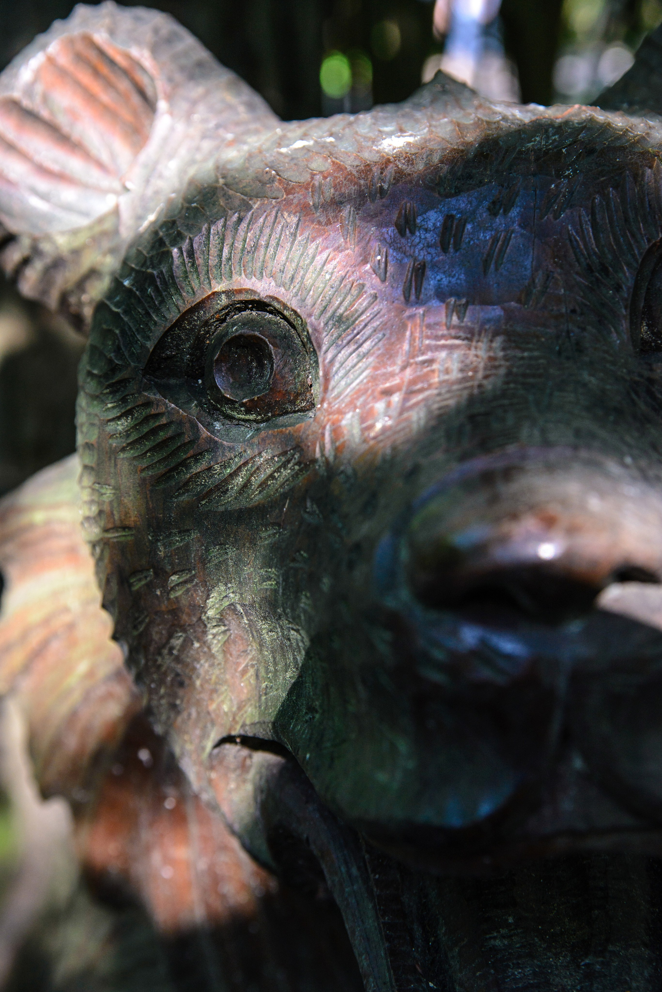 Интересное рядом. Фото, видео, монтаж