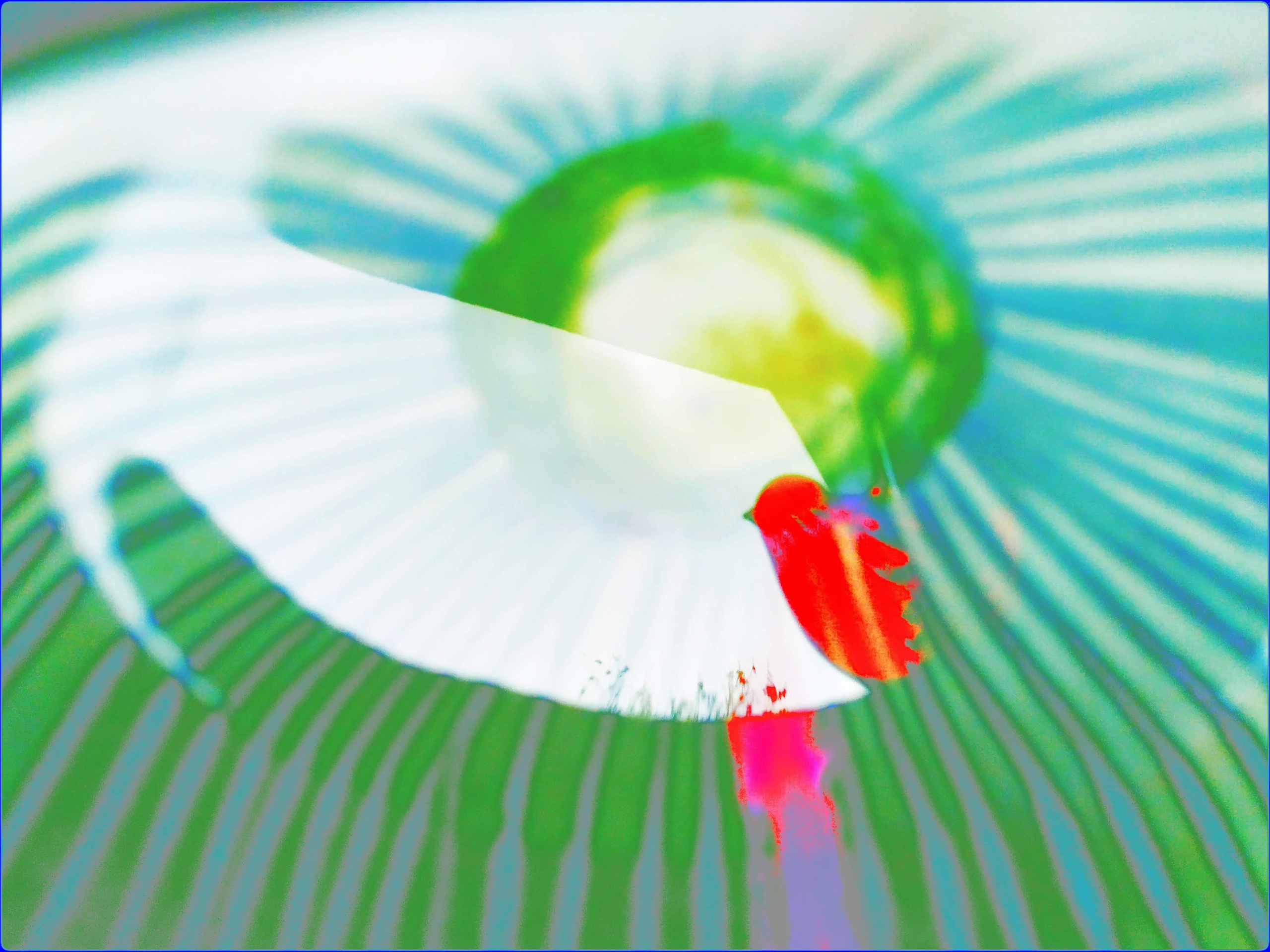 Malamoonki. Катерина Малама арт-фотограф